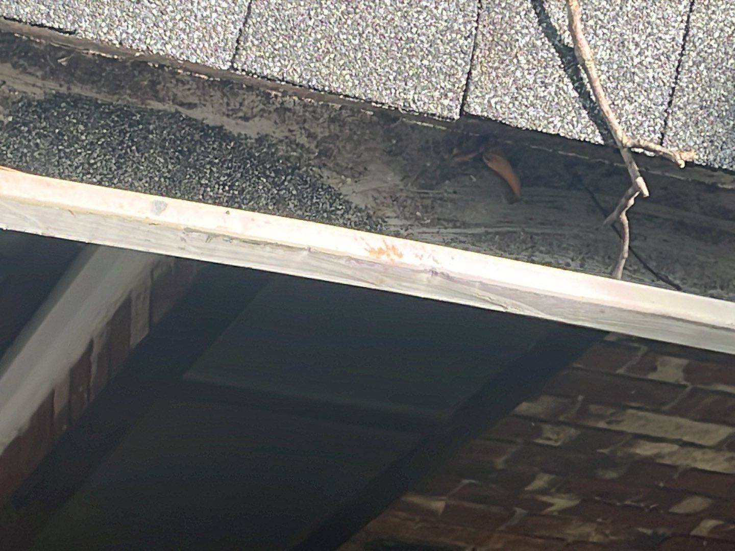 Karl Carter - Roof Replacement by Mosaic Roofing Company