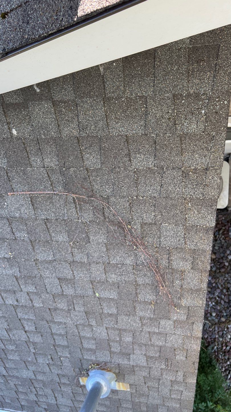 GAF Timberline HDZ - Mission Brown by Montana Roofing Solutions