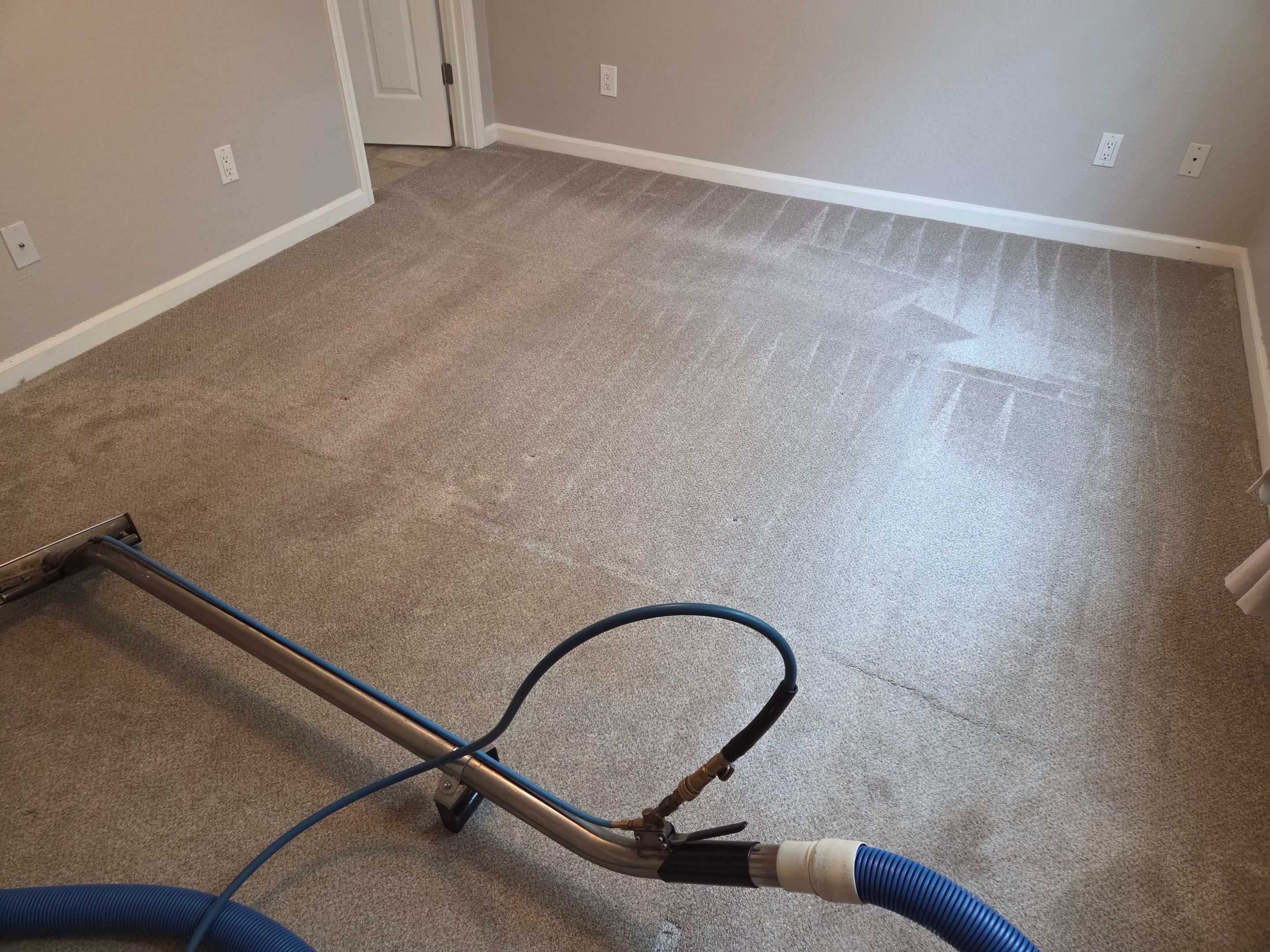 Carpet Cleaning and Stain Removal in Tallac Village by Ardent Carpet Restore LLC