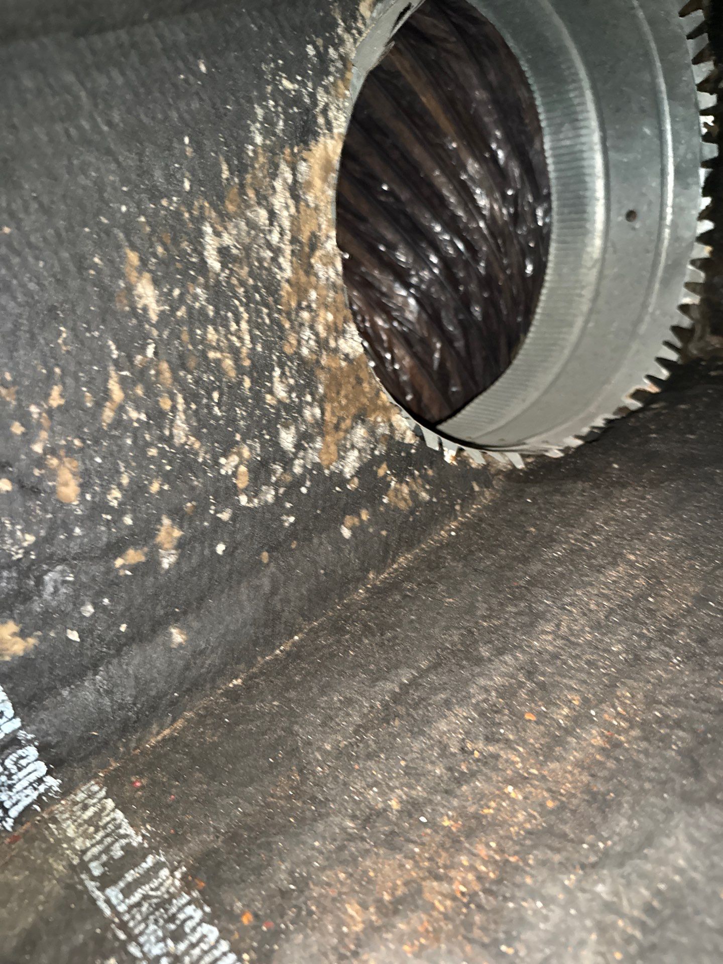 Duct Cleaning Job in Spring by Team Home Solutions