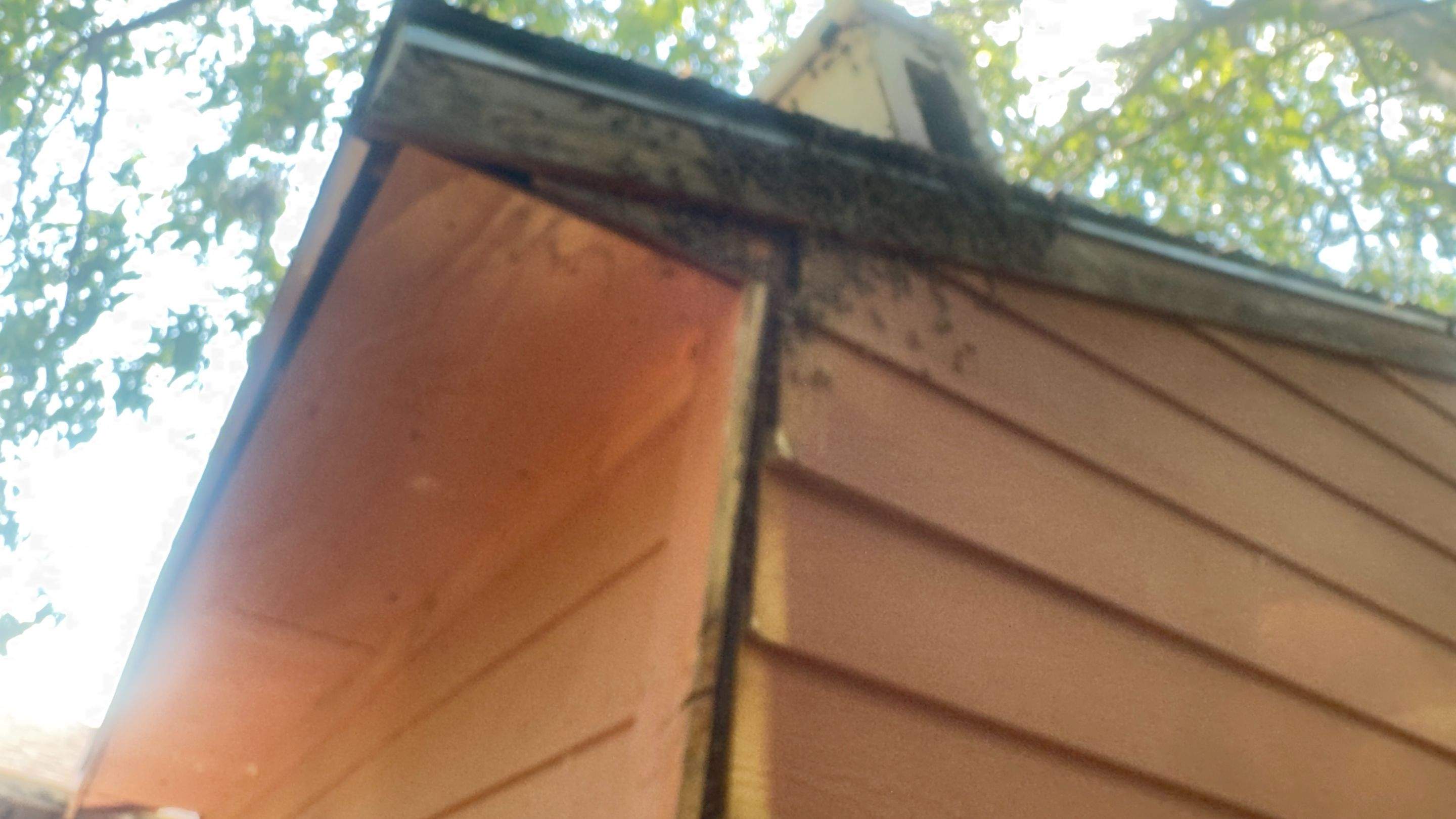 Shed Wall by Rockwall Honey Bee Company