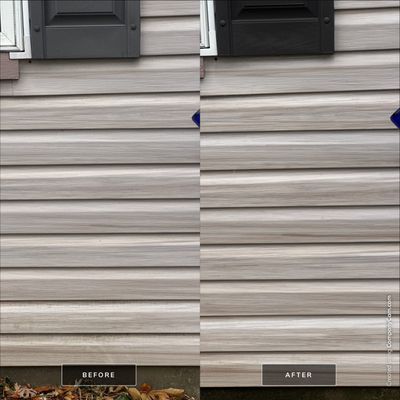 Project in Lake Villa