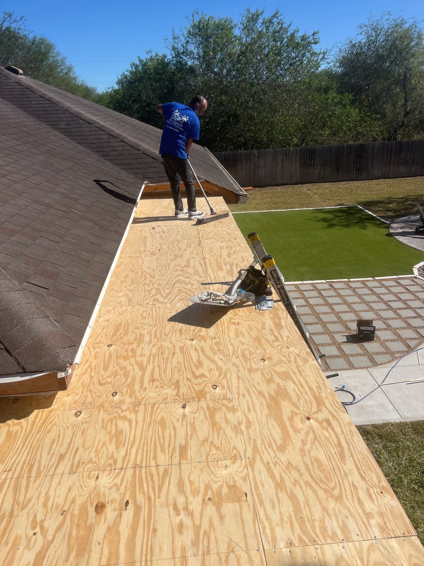 It Ain't Easy getting Shady  by Bayfront Roofing and Construction