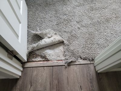 Carpet Repair, Dog Damage in West Sac