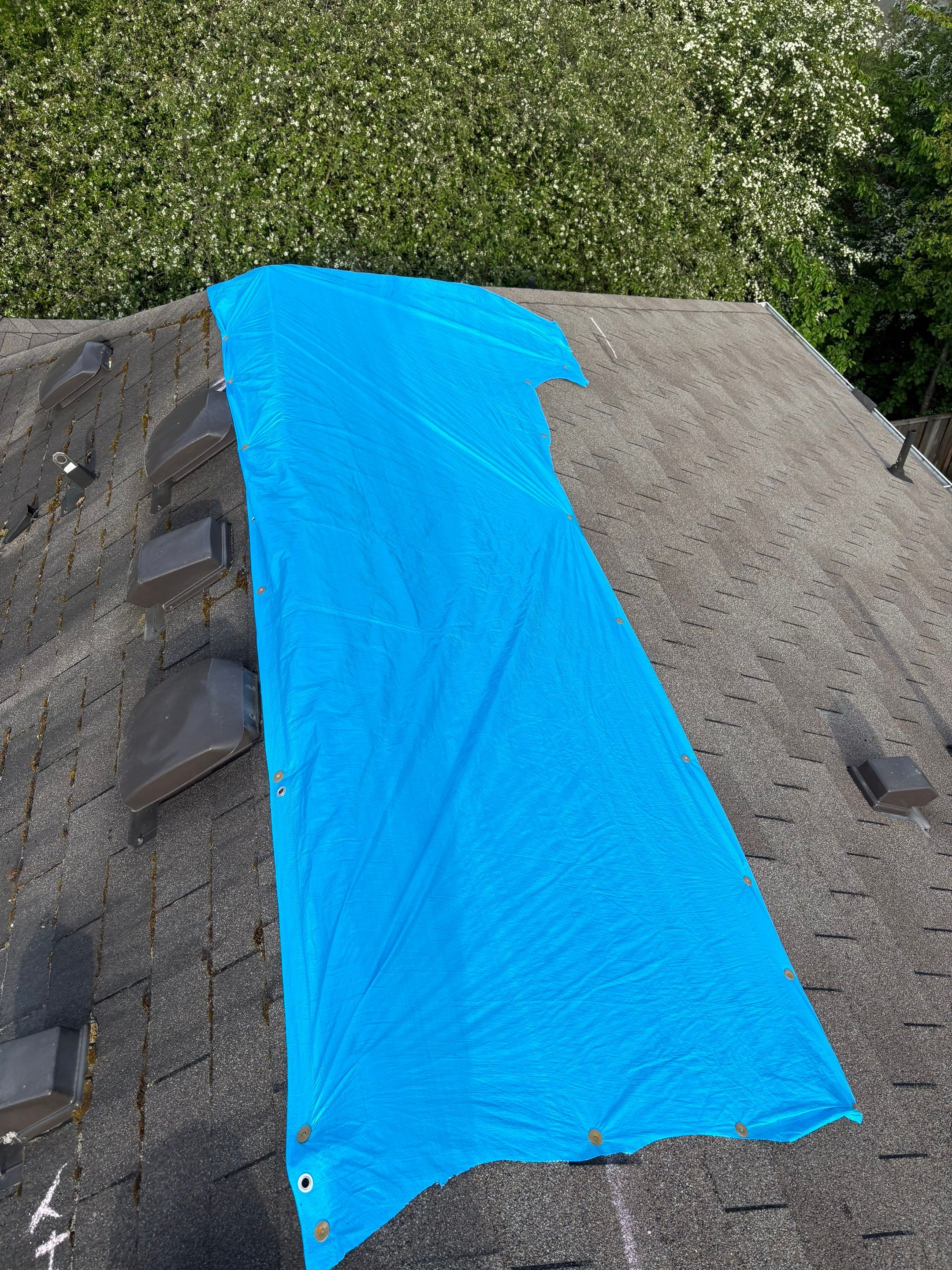 Spanaway WA, GAF Timberline NS, Weatherwood by Proline Roofing & Restoration LLC