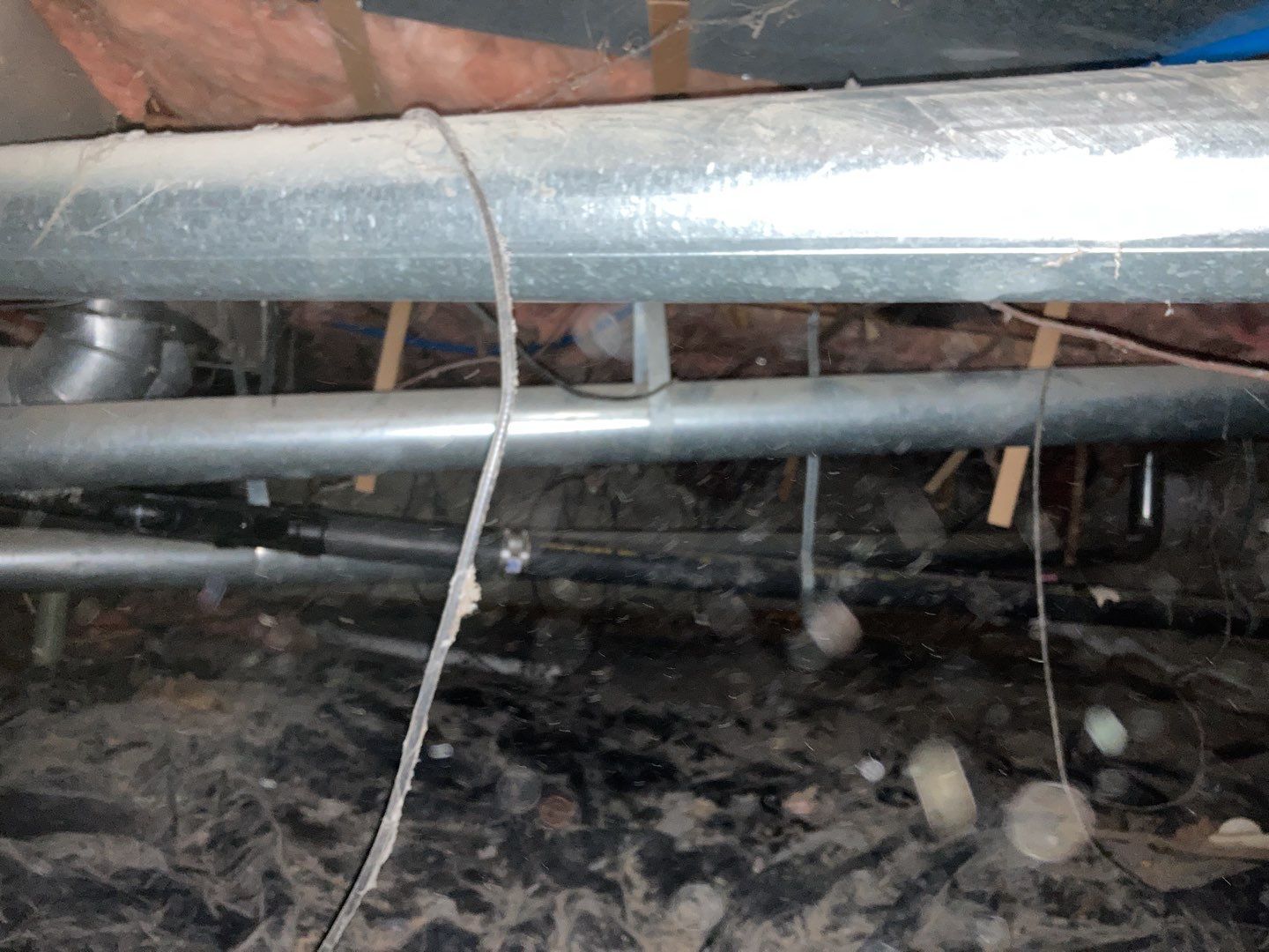 Crawl Space Cleanup  by Accountable Home Services