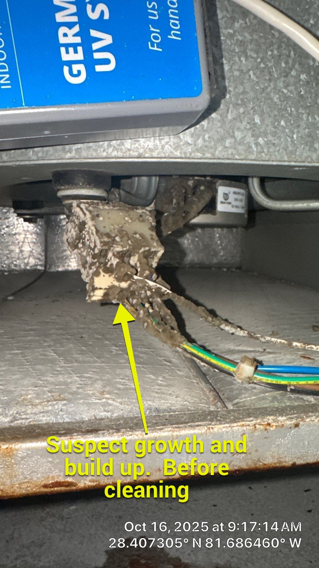Air Duct Cleaning in Clermont by Hygienic Air, Inc