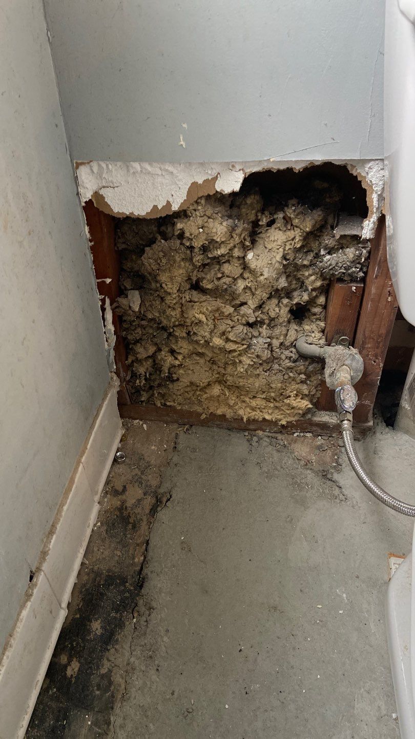 Repairs after water and asbestos remediation by ANR Restoration