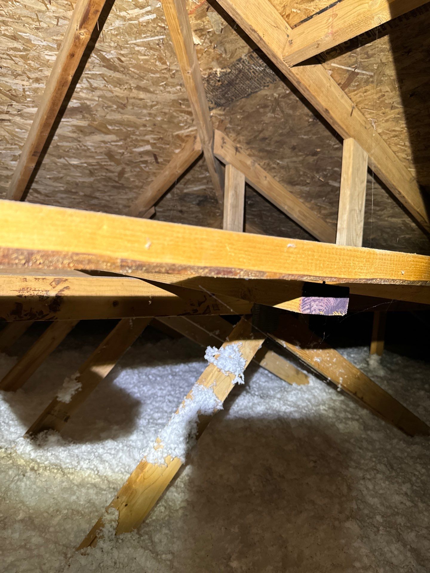 Project in Seattle by Connolly Construction Company