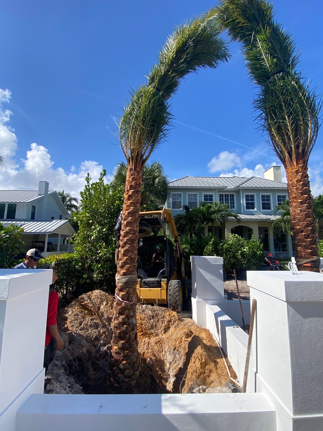 Hazard  by The Landscaping People