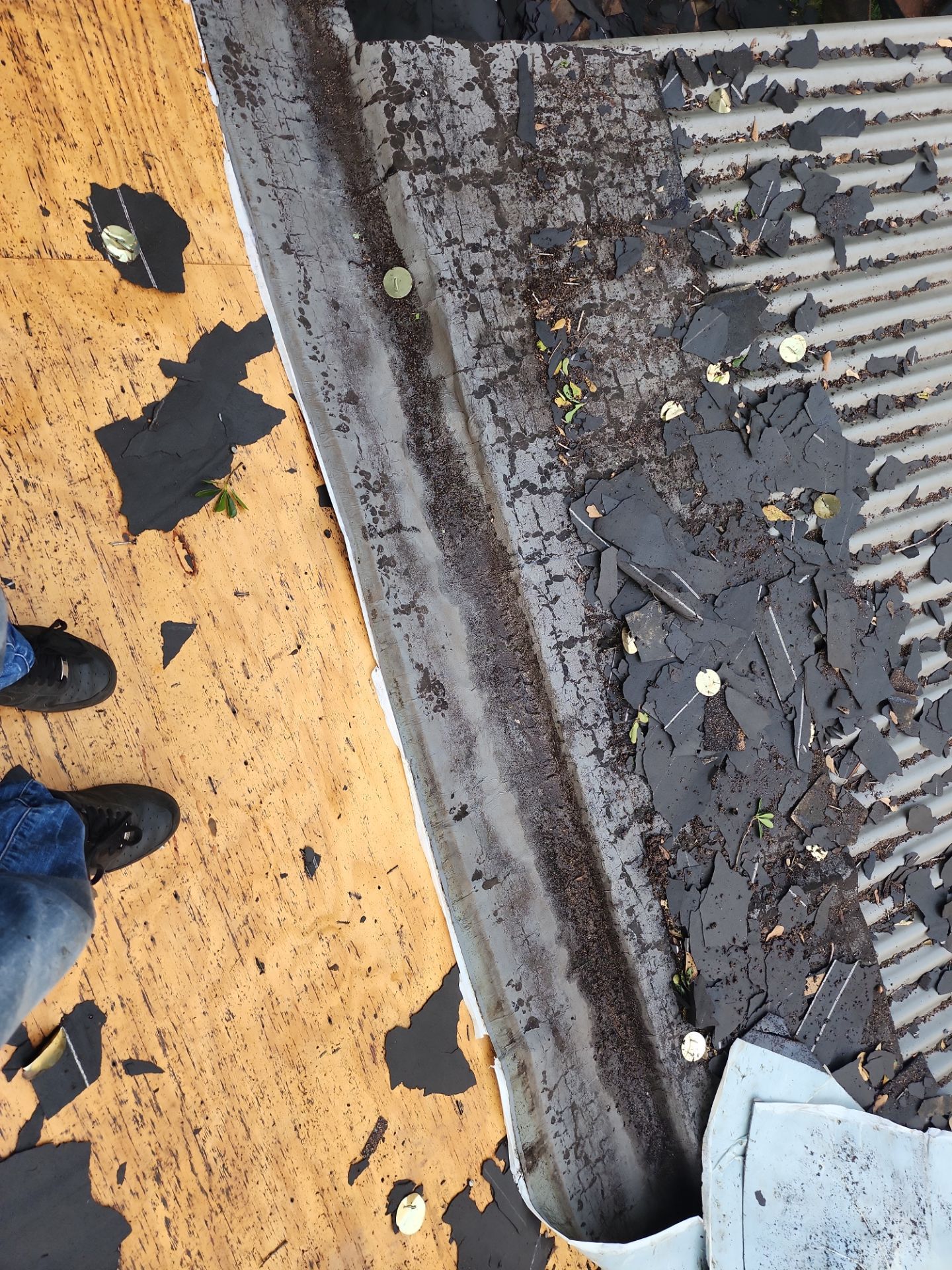 Residential Roofing Repair using Owen's Corning Duration (Lifetime) Shingles by Roof Repair Company