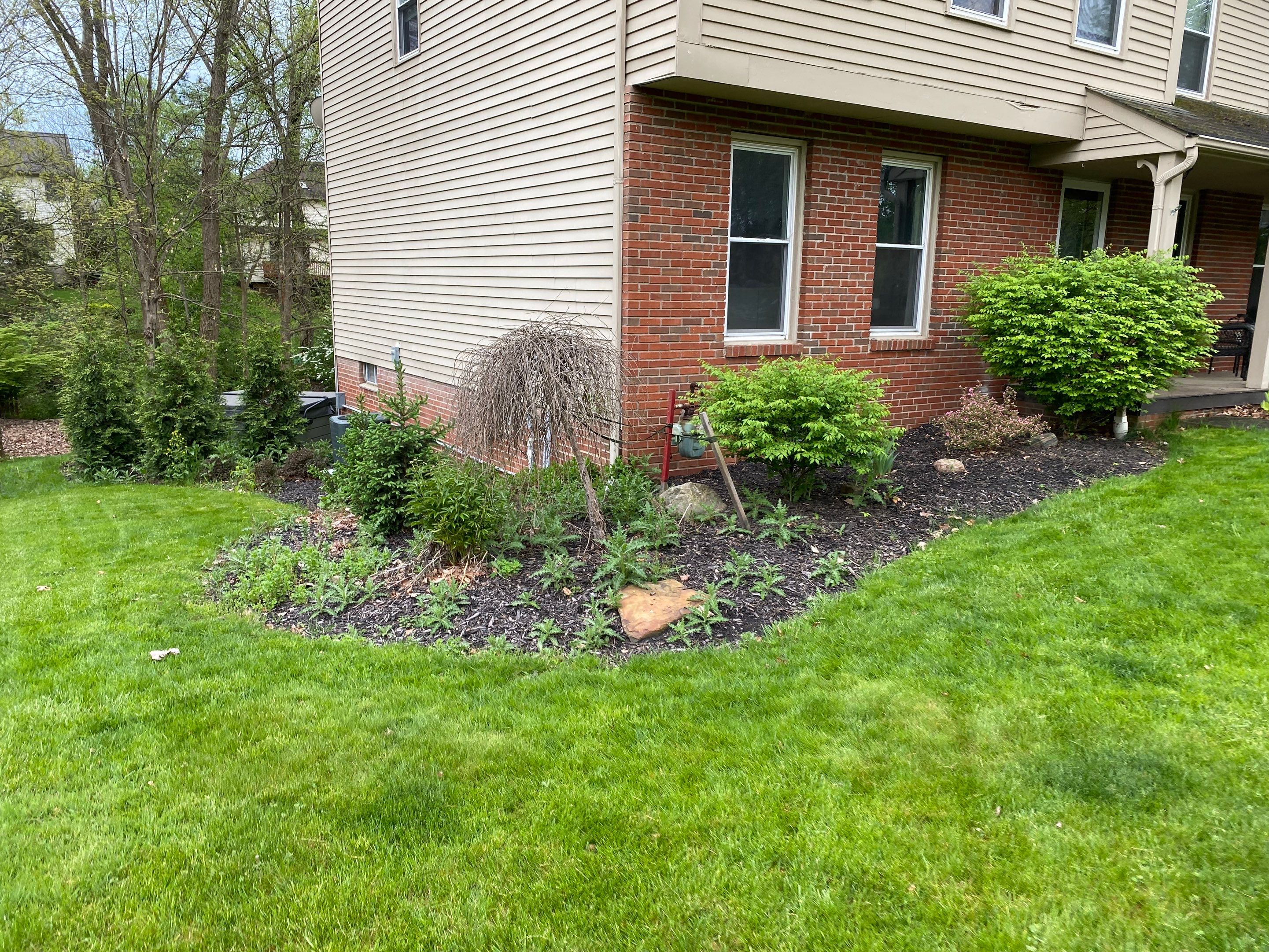 Curved Edge Maintenance by Elm Rose Gardens