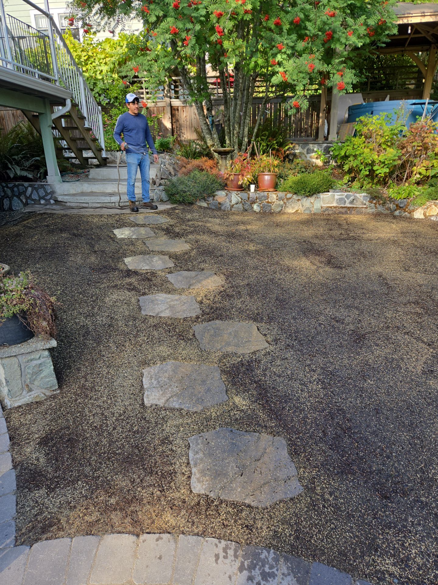 Complete Landscape Transformation - Esquimalt, BC by Habanero Garden and Exterior Care