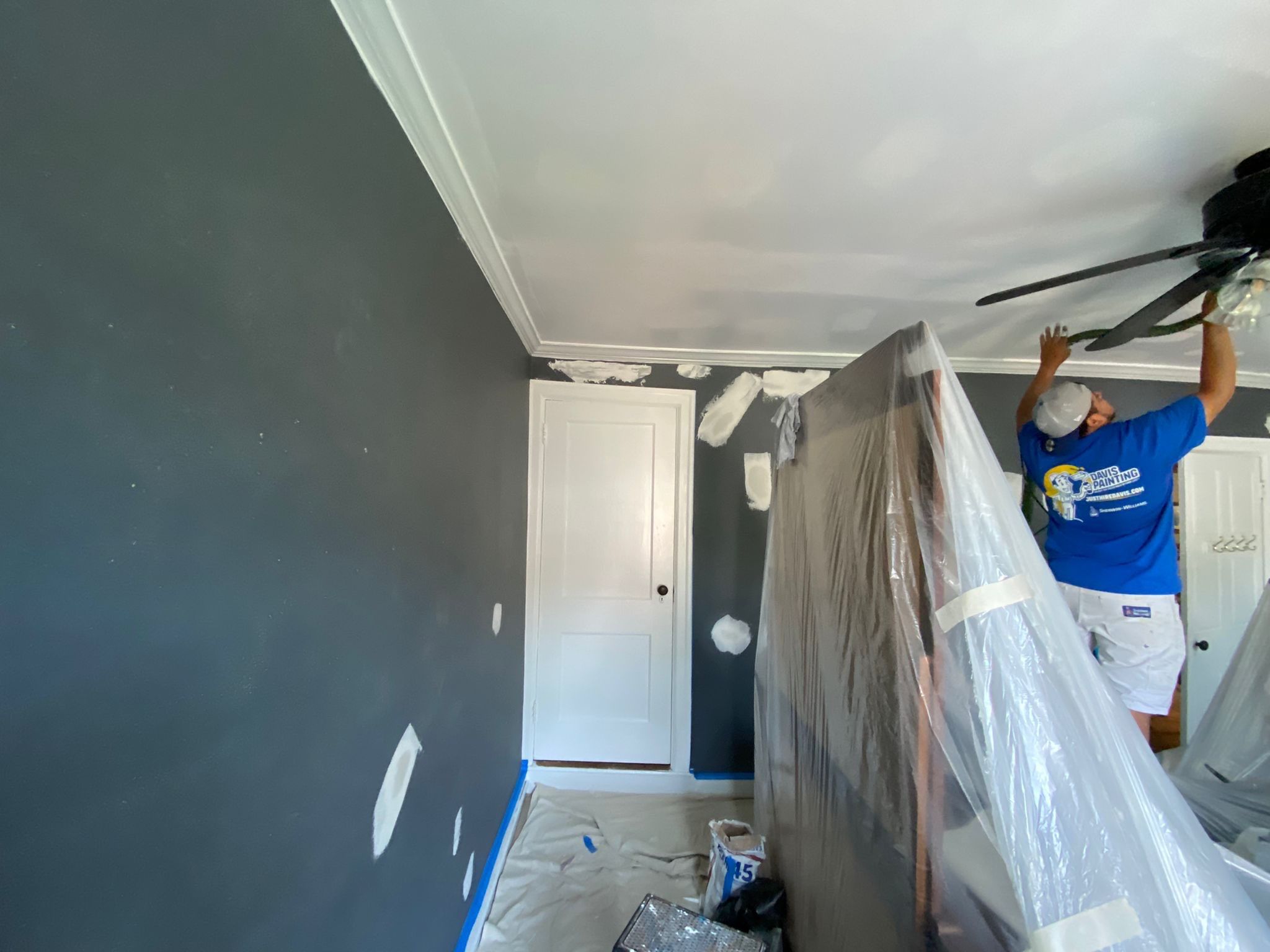 Interior Project in Wyomissing by Davis Painting Llc 