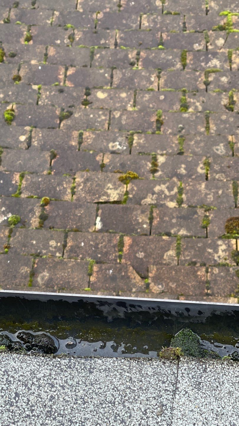 Roof Clean - Biocide Treatment using Honda 15lpm Low Pressure Washing Machine by Ges Exterior Cleaning ltd