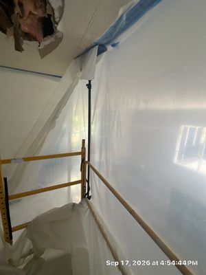 Wet Carpet Drying — Cape Coral, FL