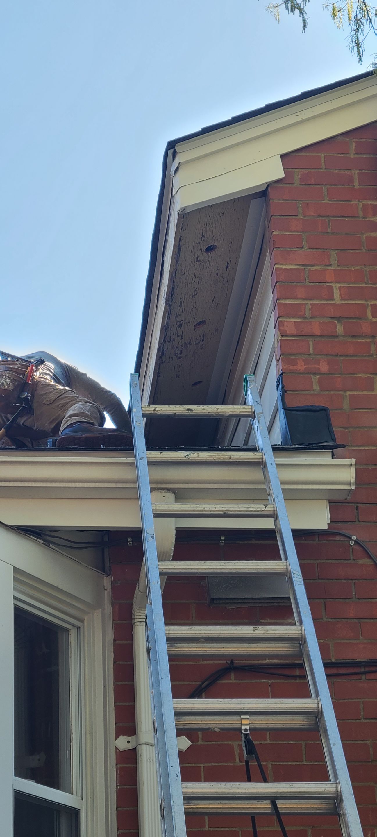 Alexandria: Residential Roof Replacement with CertainTeed Landmark in Georgetown Gray by RM Banning, Inc.