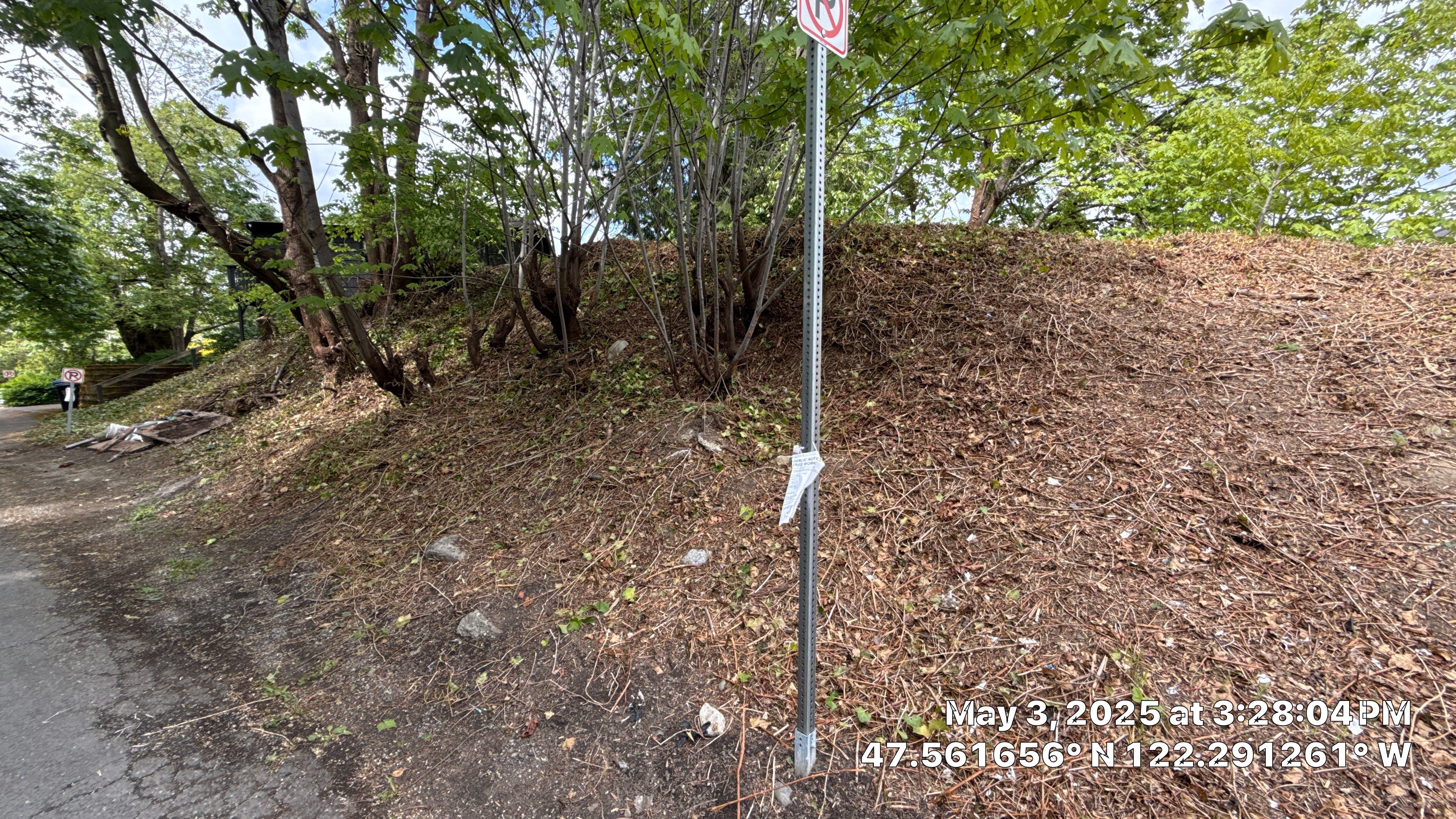 β
Seattle Tree Clearance & Invasive Species Removal by Sound Tree Care LLC
