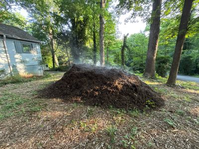 Project in Charlotte