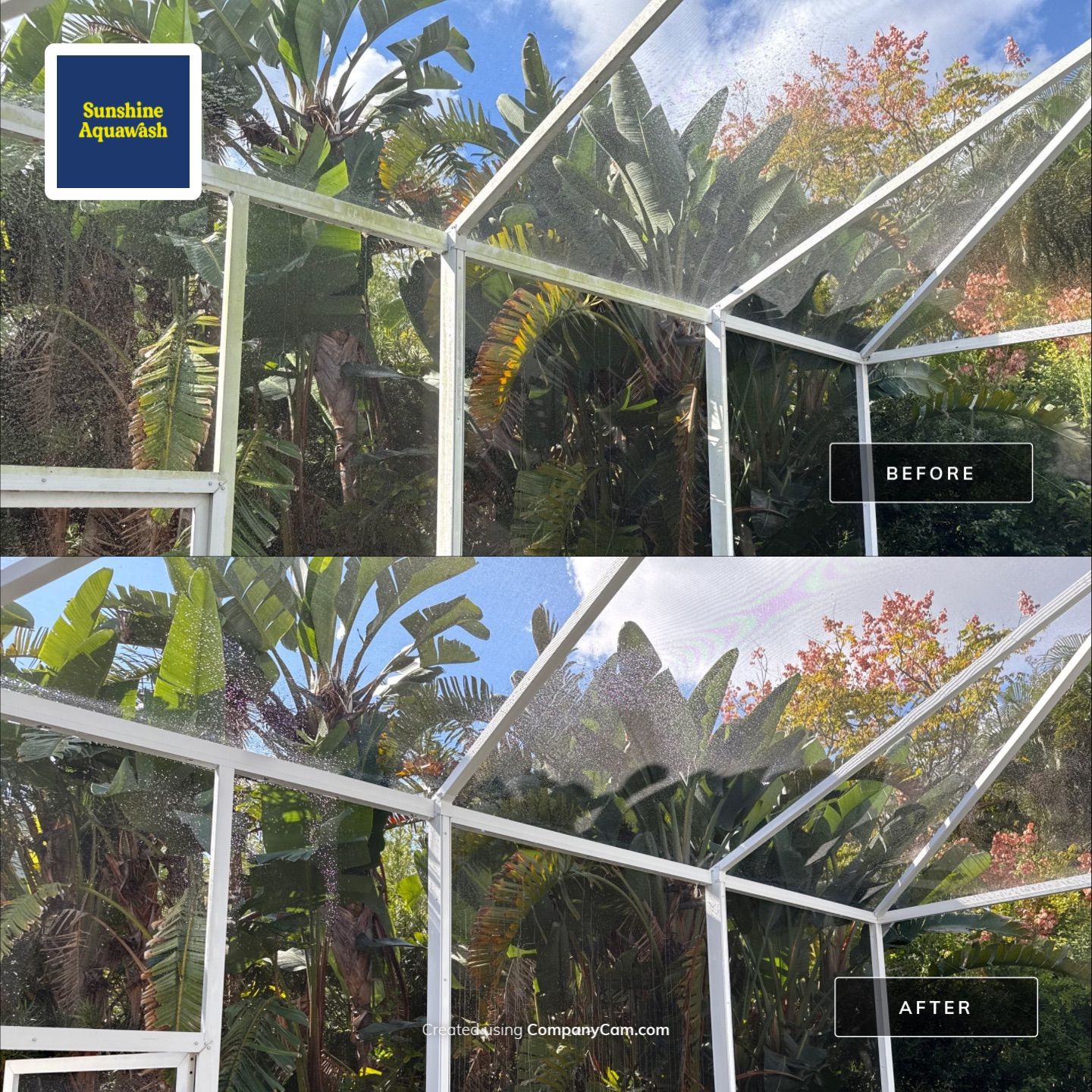 Paver Pool Deck & Screen Enclosure Transformation | University Park, Sarasota FL by Sunshine AquaWash