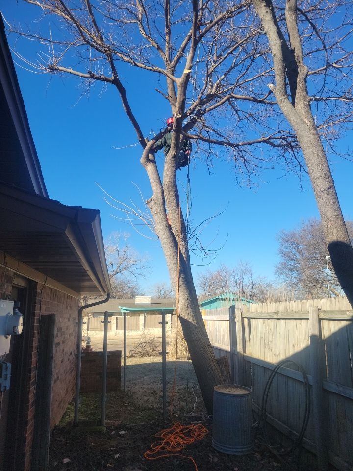Fence , Concrete Pads , and Tree Removal by Clays Services Inc
