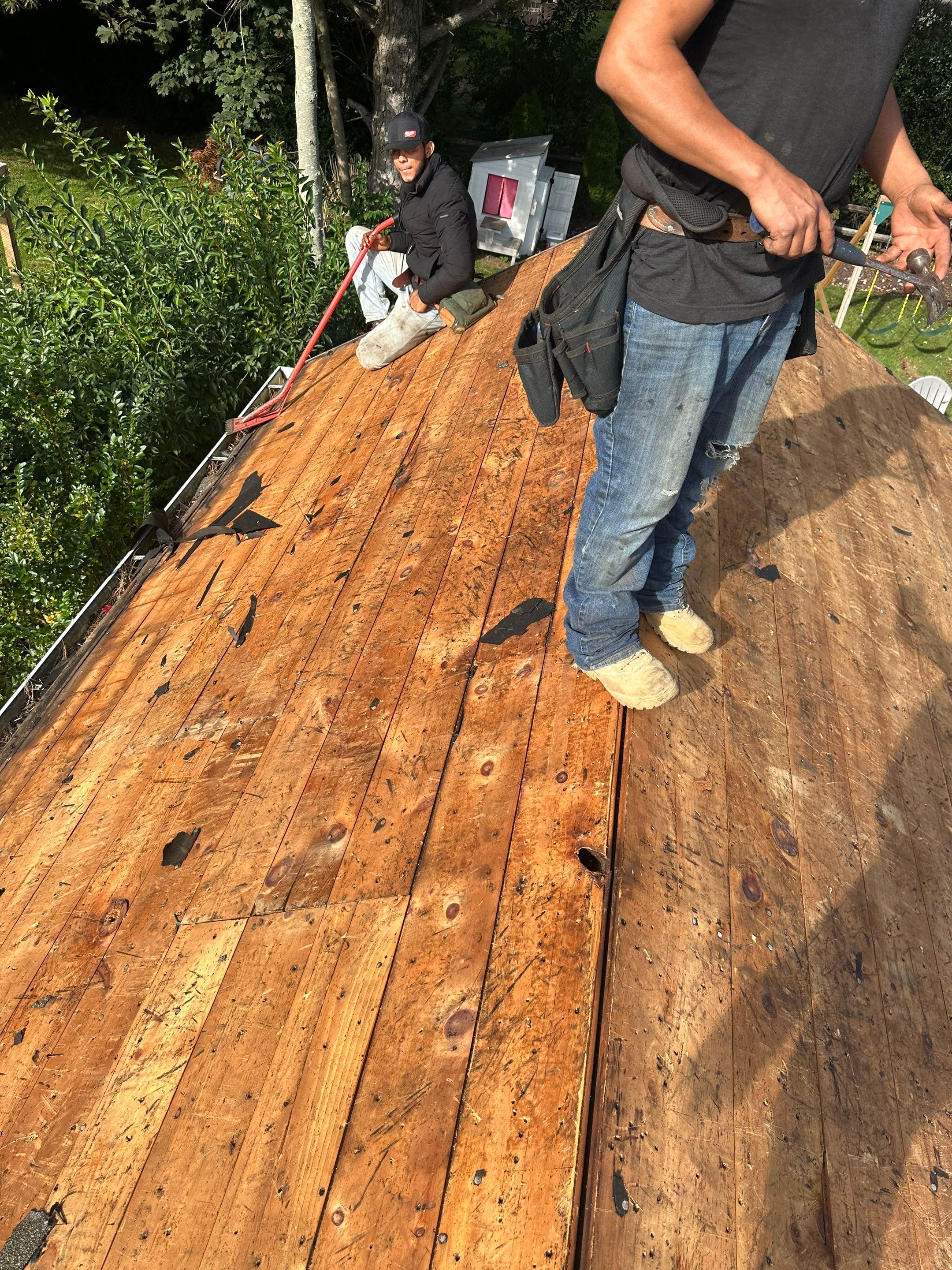 Residential Roofing Installation using Owens Corning TruDefinition Duration AR - Onyx Black & New Siding Install using Certainteed Sterling gray by A Plus Exterior