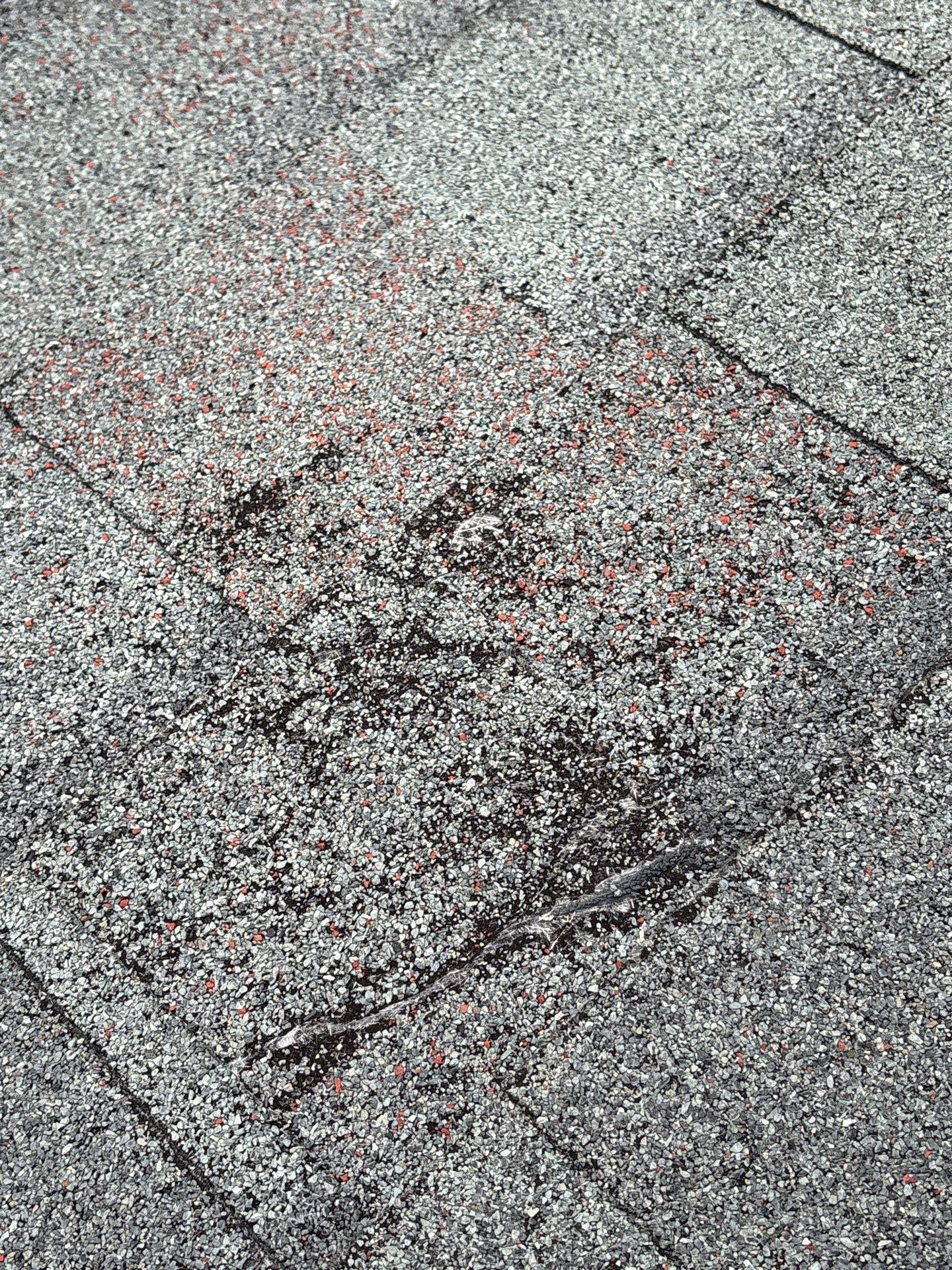 Roof & Gutter Upgrade 🔧 by Georgia Roof Advisors