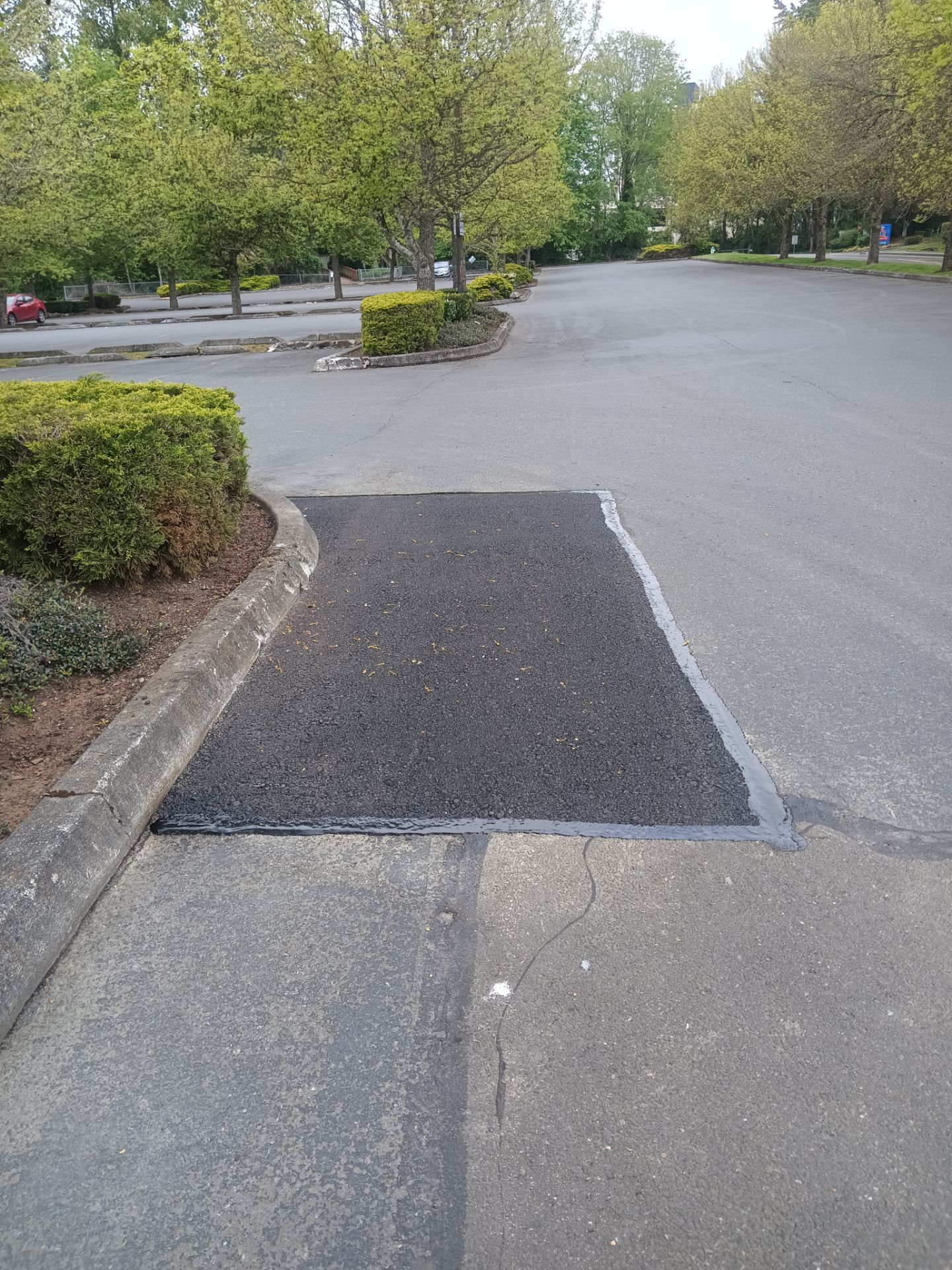 Asphalt Patch Repairs | Mountlake Terrace by Jireh Asphalt & Concrete Inc 
