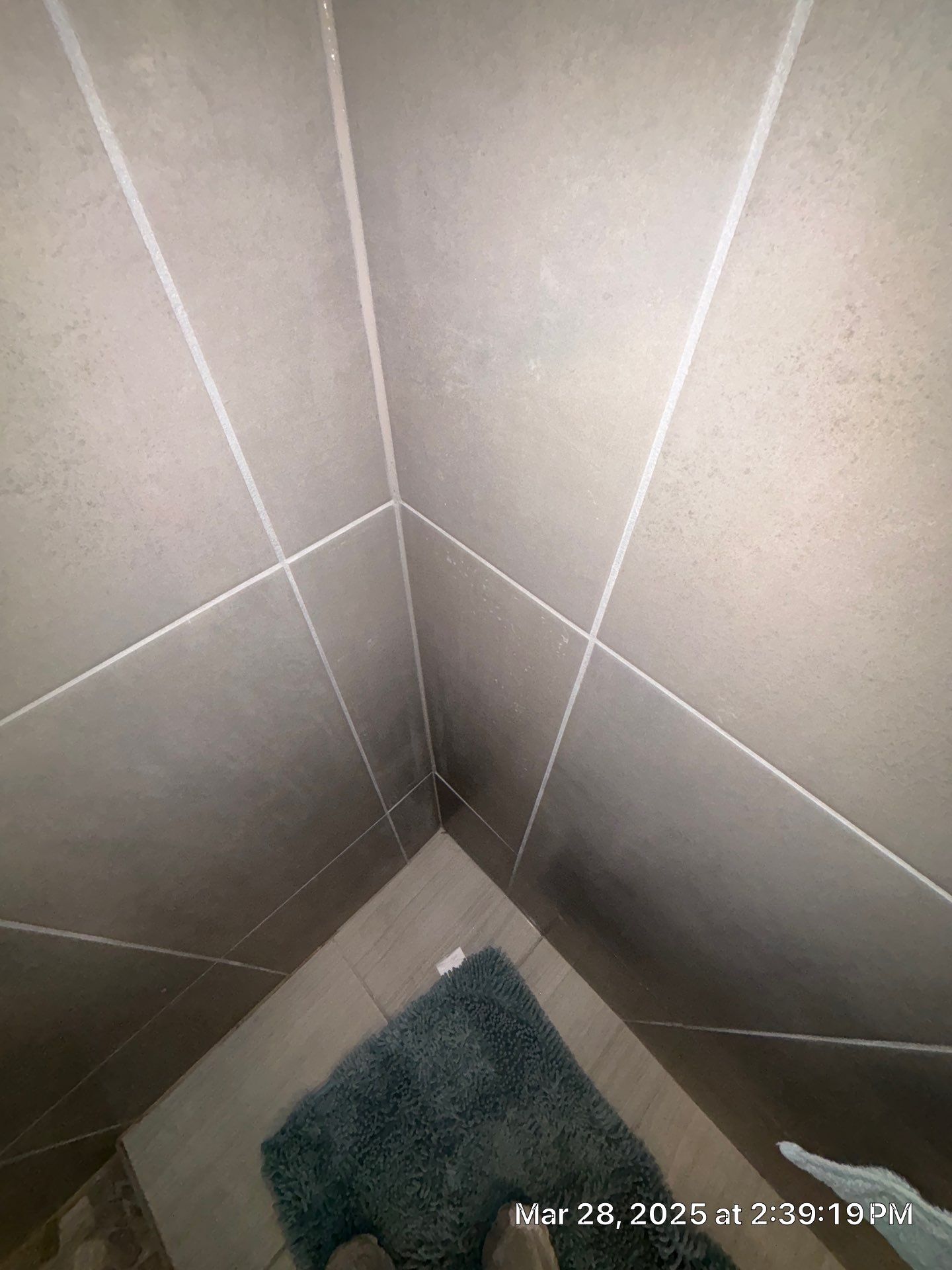 Mold Remediation In Palmetto by Ampm Restoration Services 