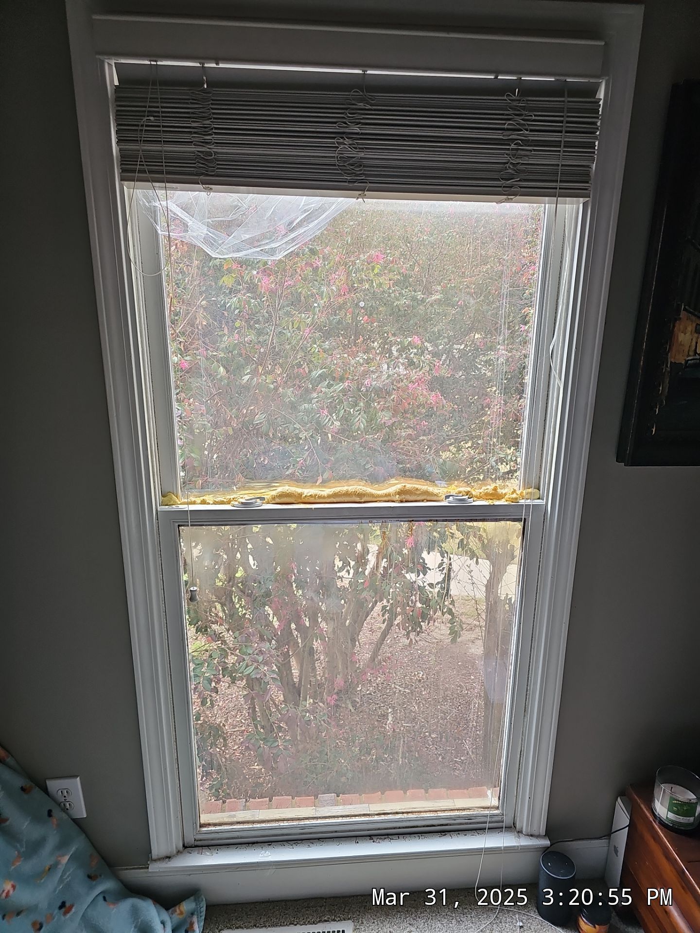 Hoyt Project in Birmingham by The Window Source