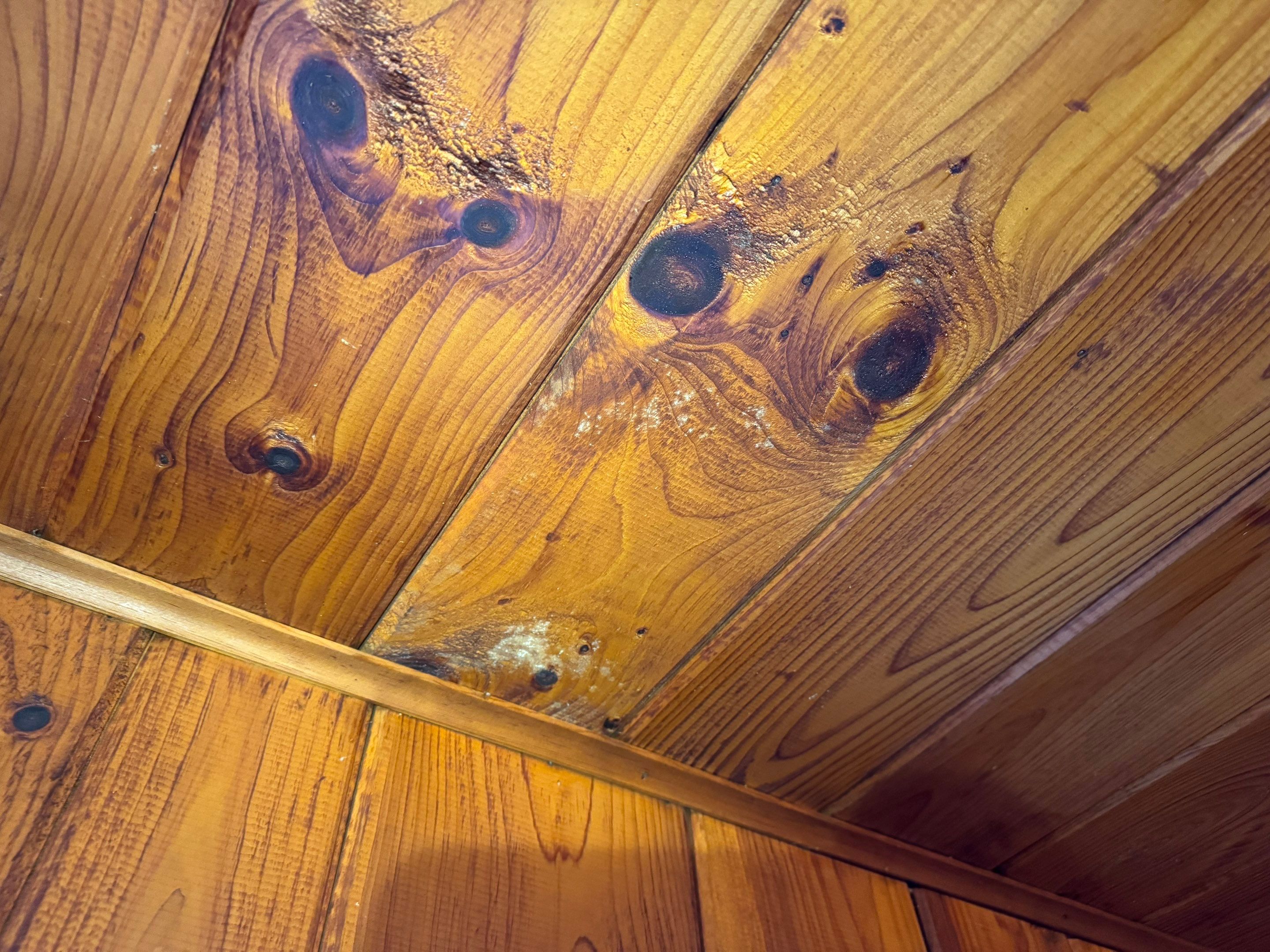 Entire Home Remediation by Home Guarantee, LLC