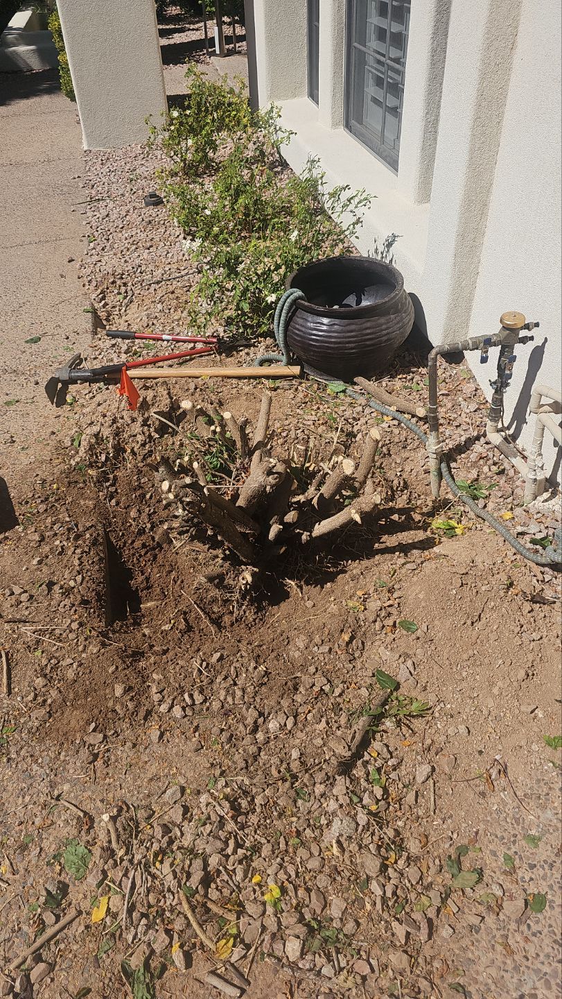 Irrigation Main Line PVC Repair by Iron Mountain Irrigation