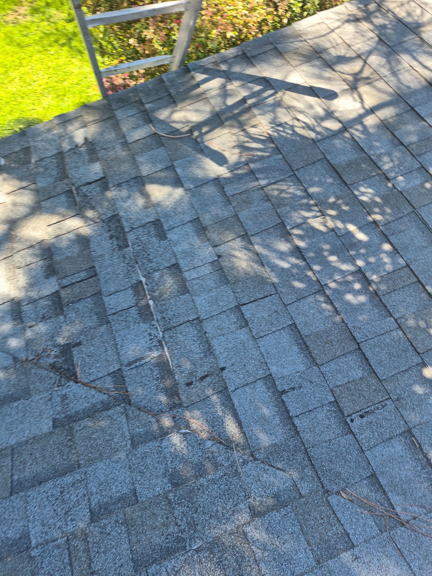 Project in St. Petersburg 33710 by Mitchell Roofing Company LLC 