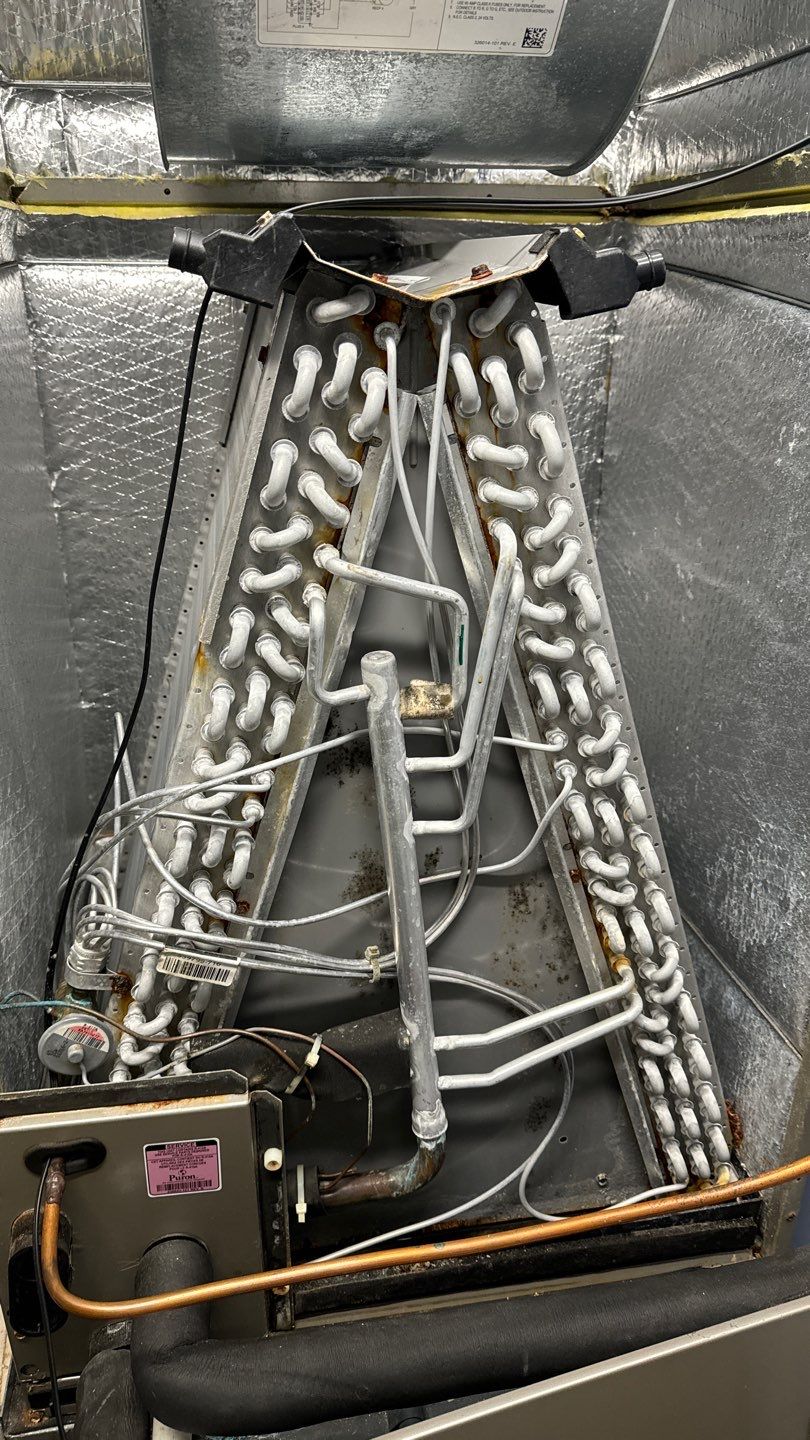 Commercial Air Duct Cleaning in Clermont by Hygienic Air, Inc