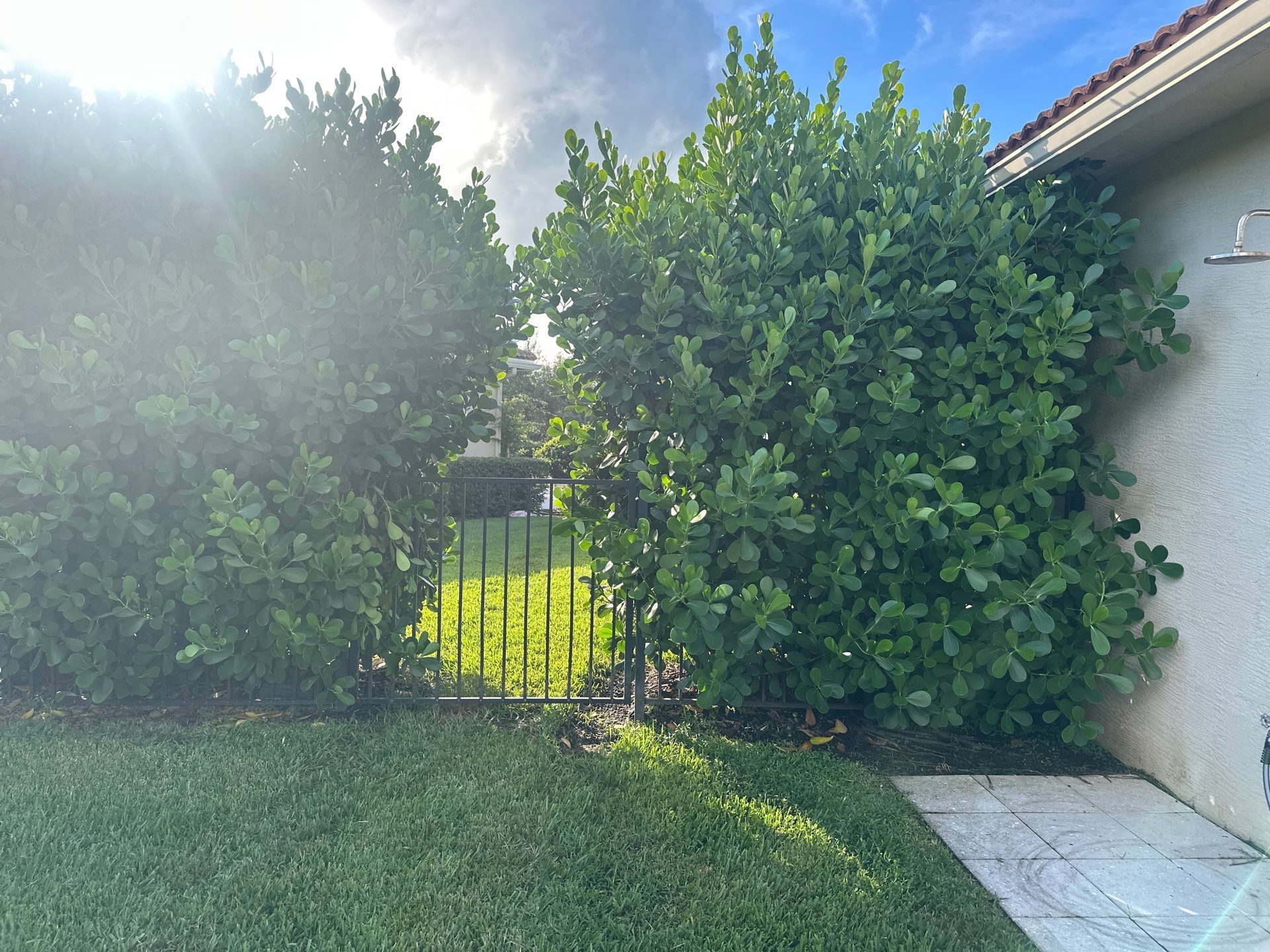 From Overgrown to Picture-Perfect - Stuart Refresh by Alpha Zeta Enterprises Inc