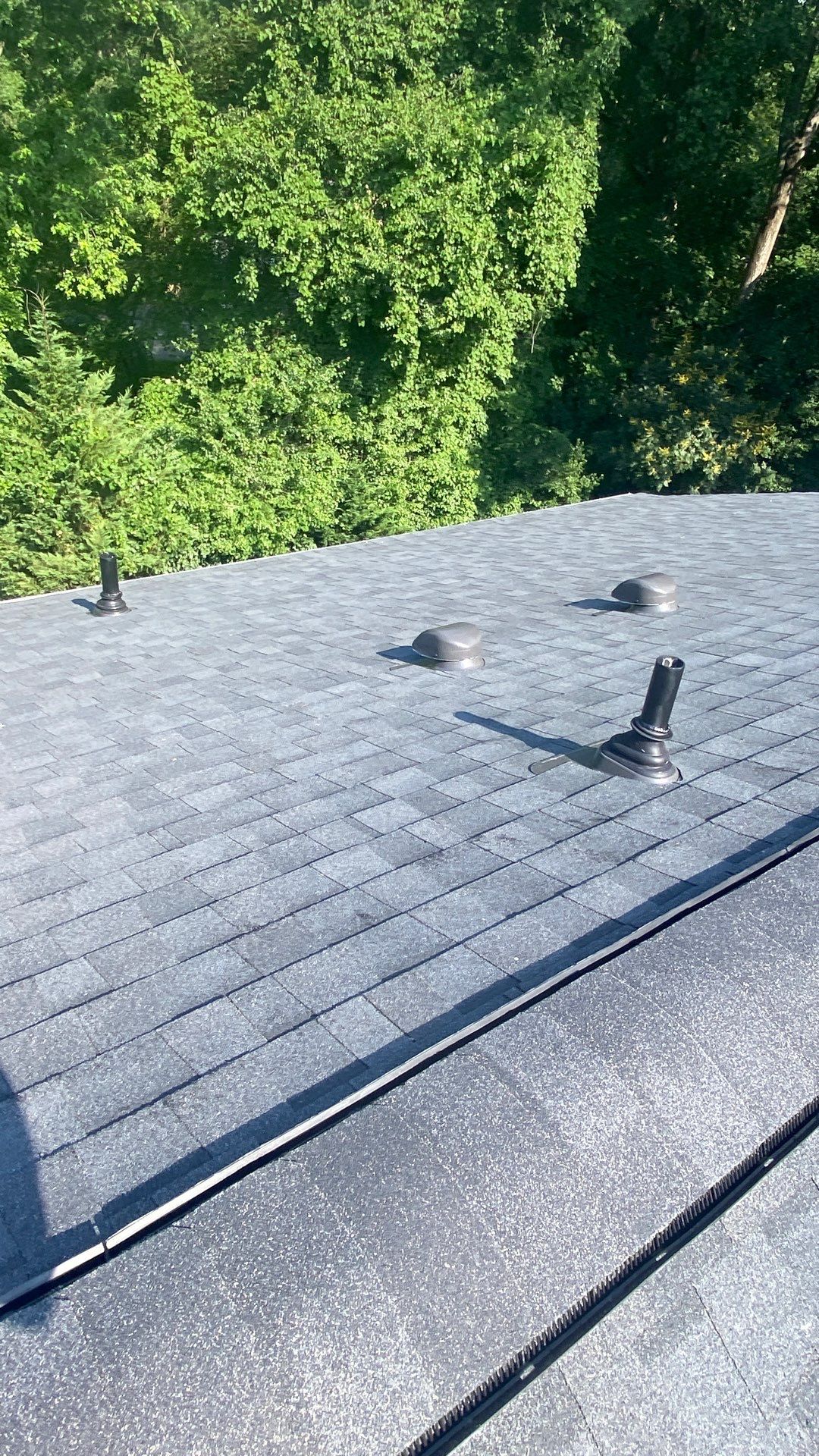Vienna: Roof Replacement with CertainTeed Landmark Designer Shingles in Moire Black by RM Banning, Inc.