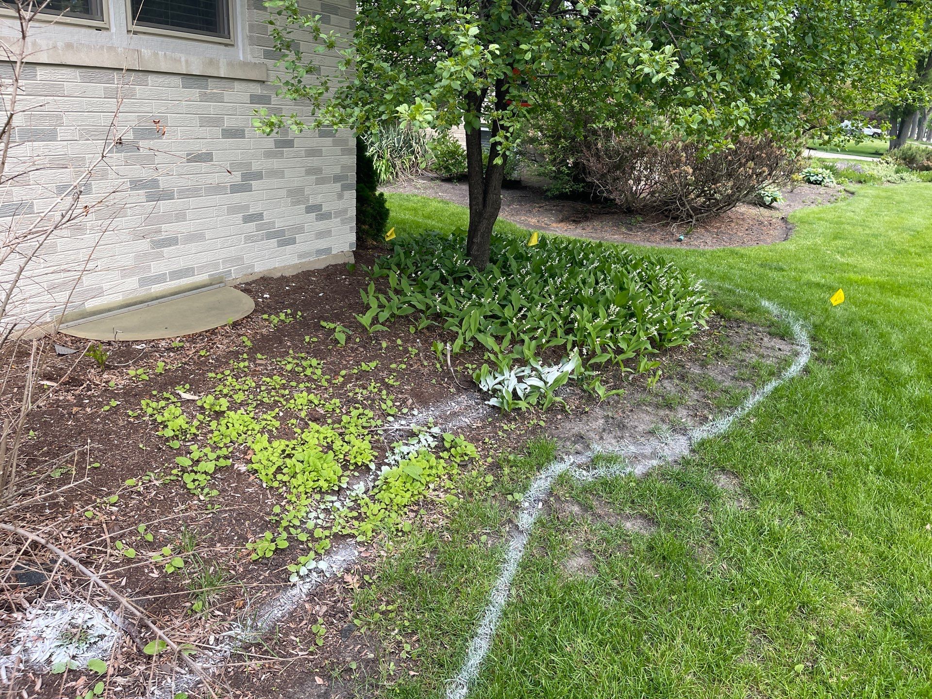 James F. - Arlington Heights, IL by A&N