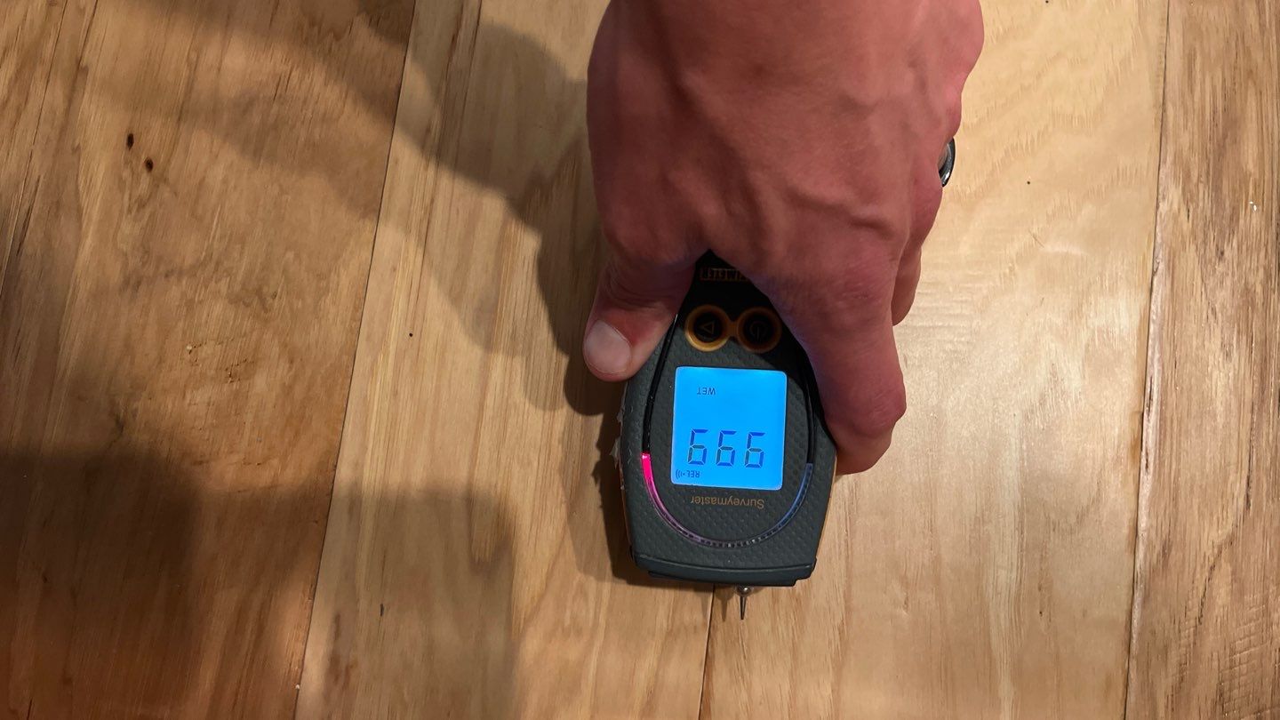 Water Damage Mitigation Using PDS System by ANR Restoration