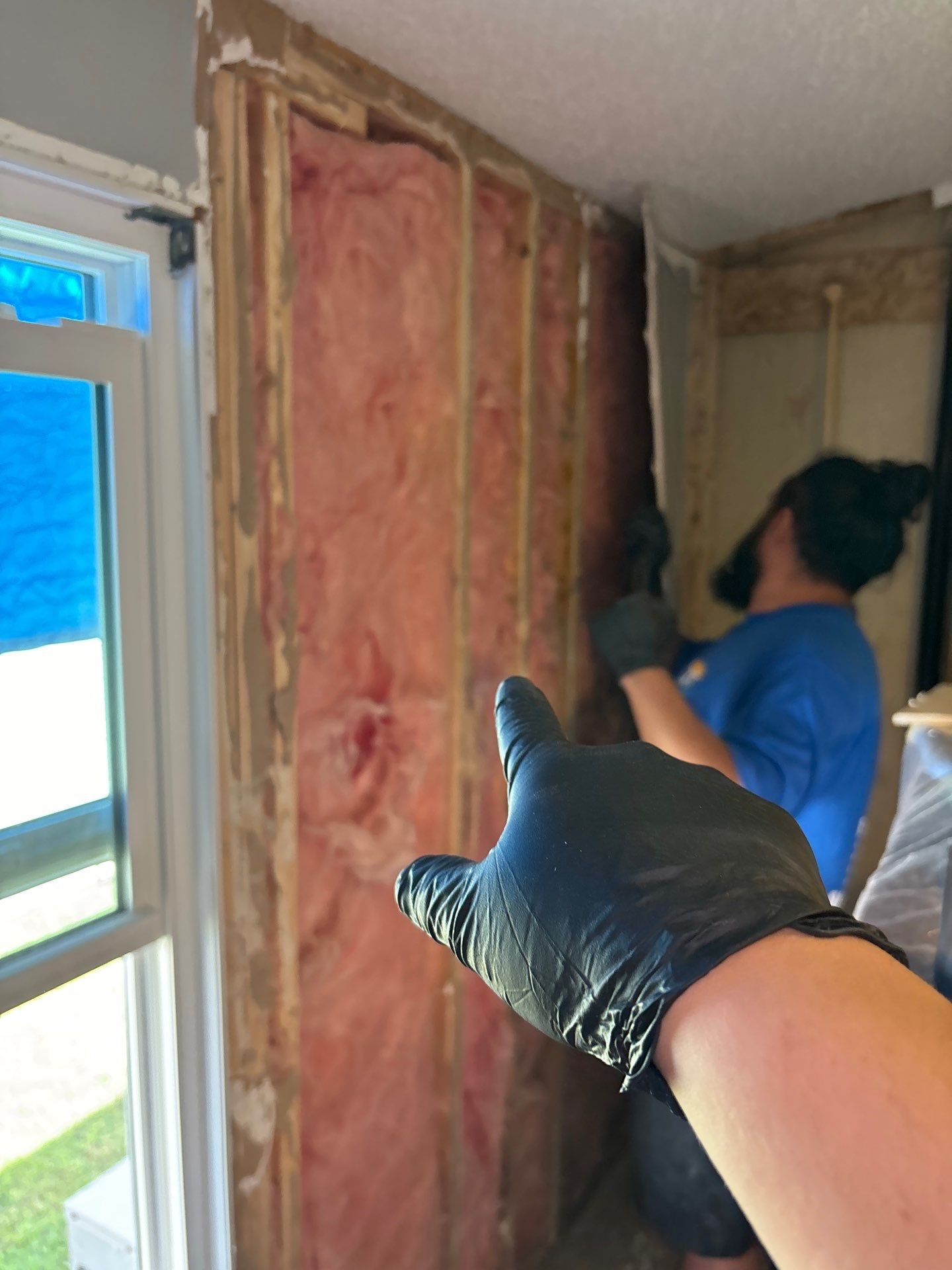 Home Mold Removal by Ampm Restoration Services