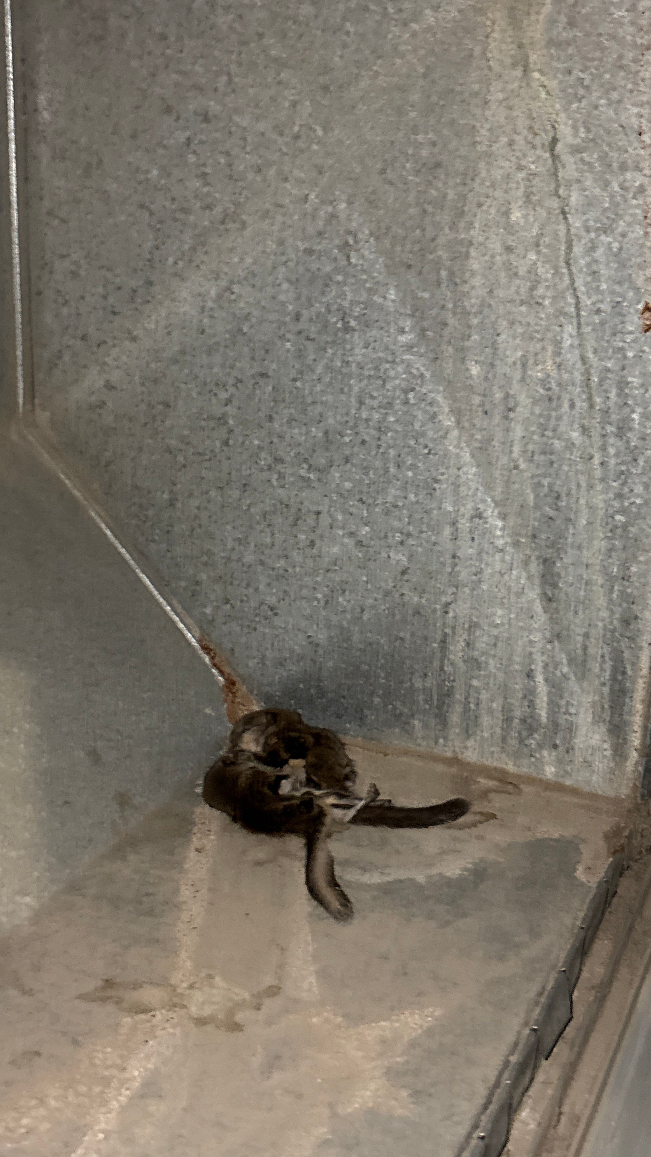 Air Duct & Dryer Vent Cleaning in Baden, PA by Superior Air Duct Cleaning