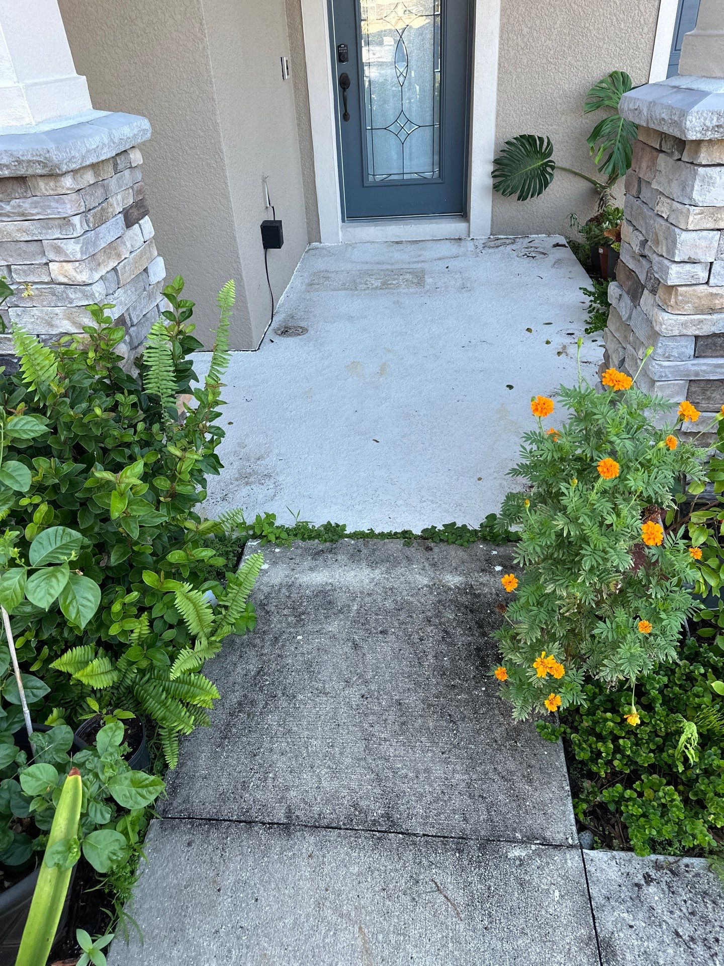 Driveway Cleaning in Palmetto, FL – Trevesta Community by Sunshine AquaWash