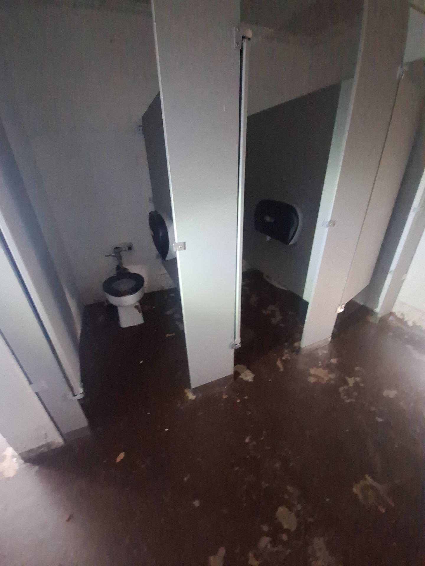 Bathroom Repaint & Epoxy Floor coating by Gordon Painting