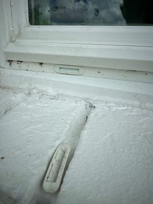 Project in Fort Myers