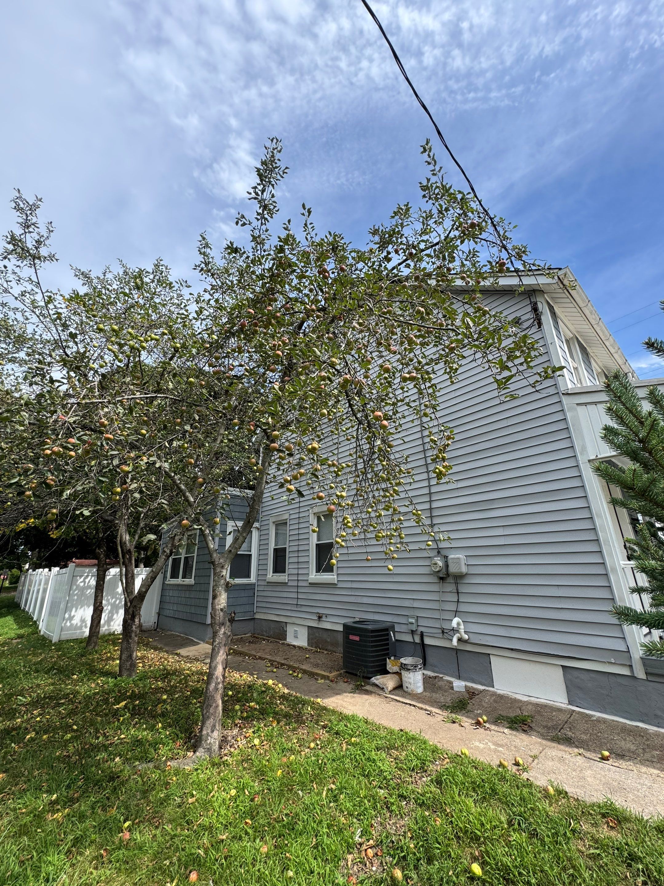 Full House Rehab, Flooring, Kitchen, Porch, Structural, Painting by AXR Inc