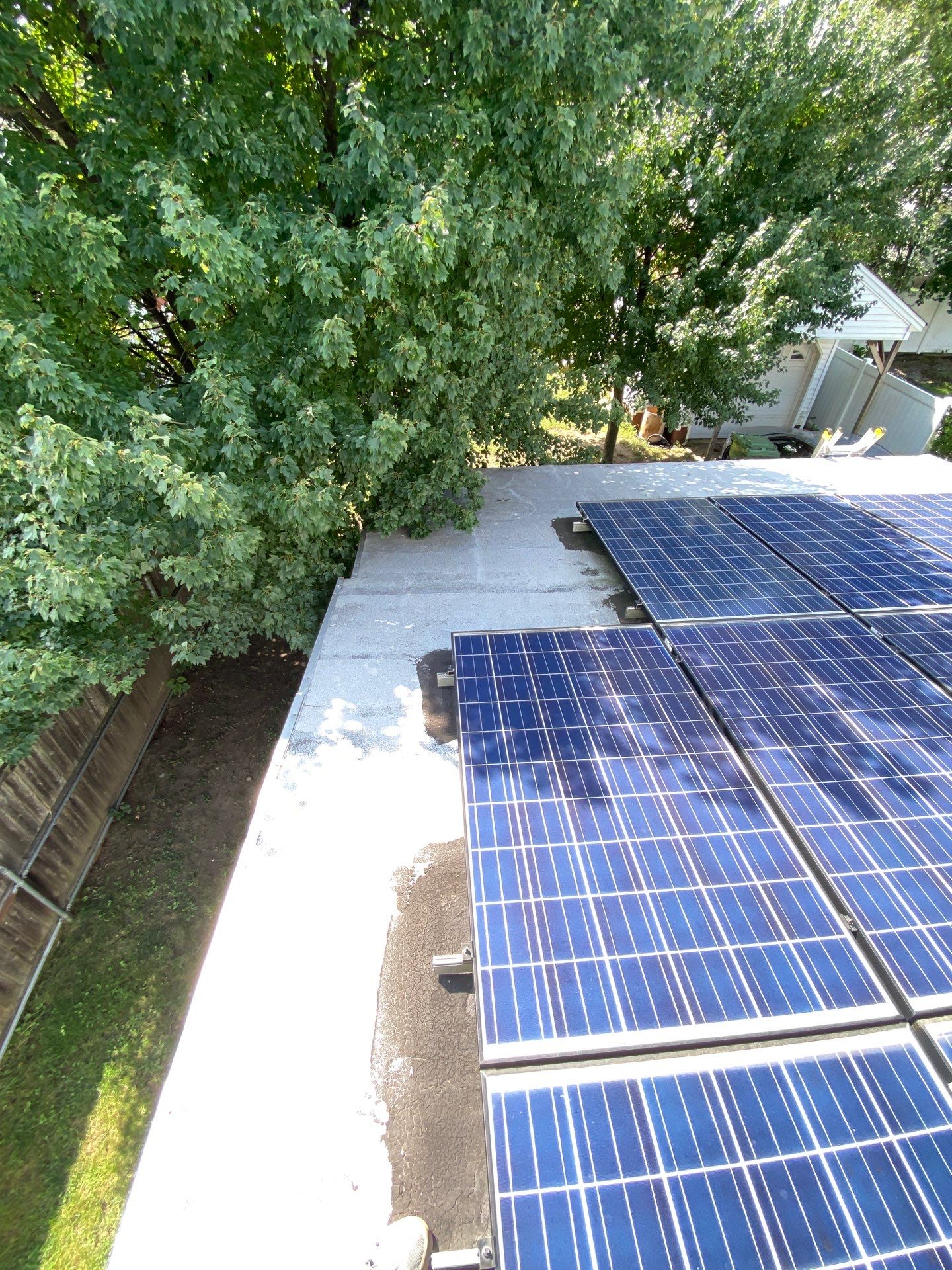 Modified Bitumen Membrane by Reimagine Roofing