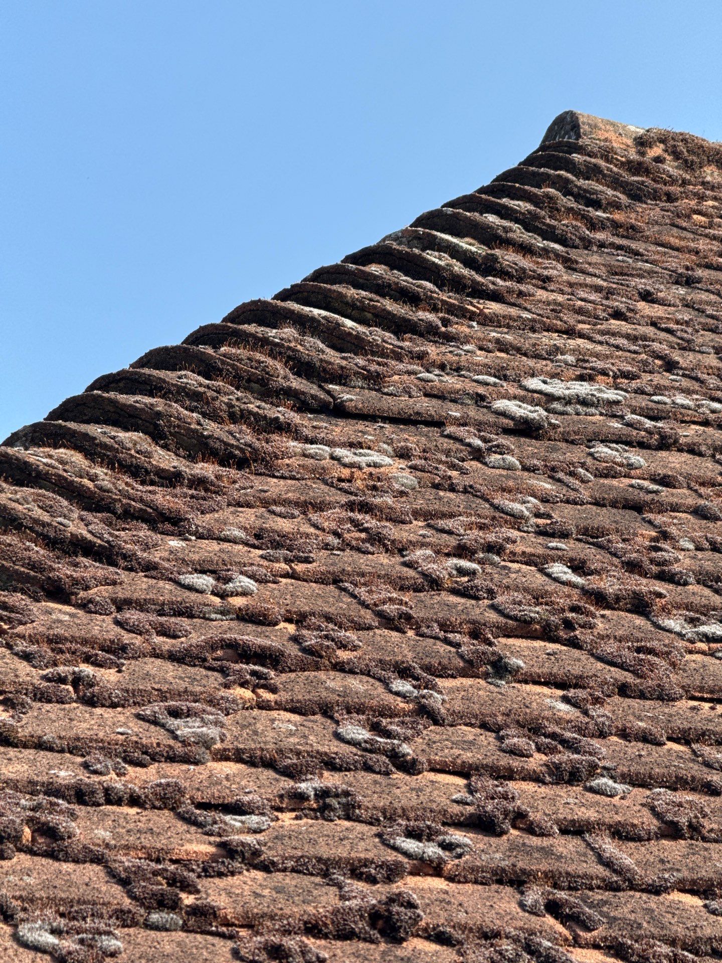 Roof Clean - Gutter Clean - Biocide Treatment by Ges Exterior Cleaning ltd