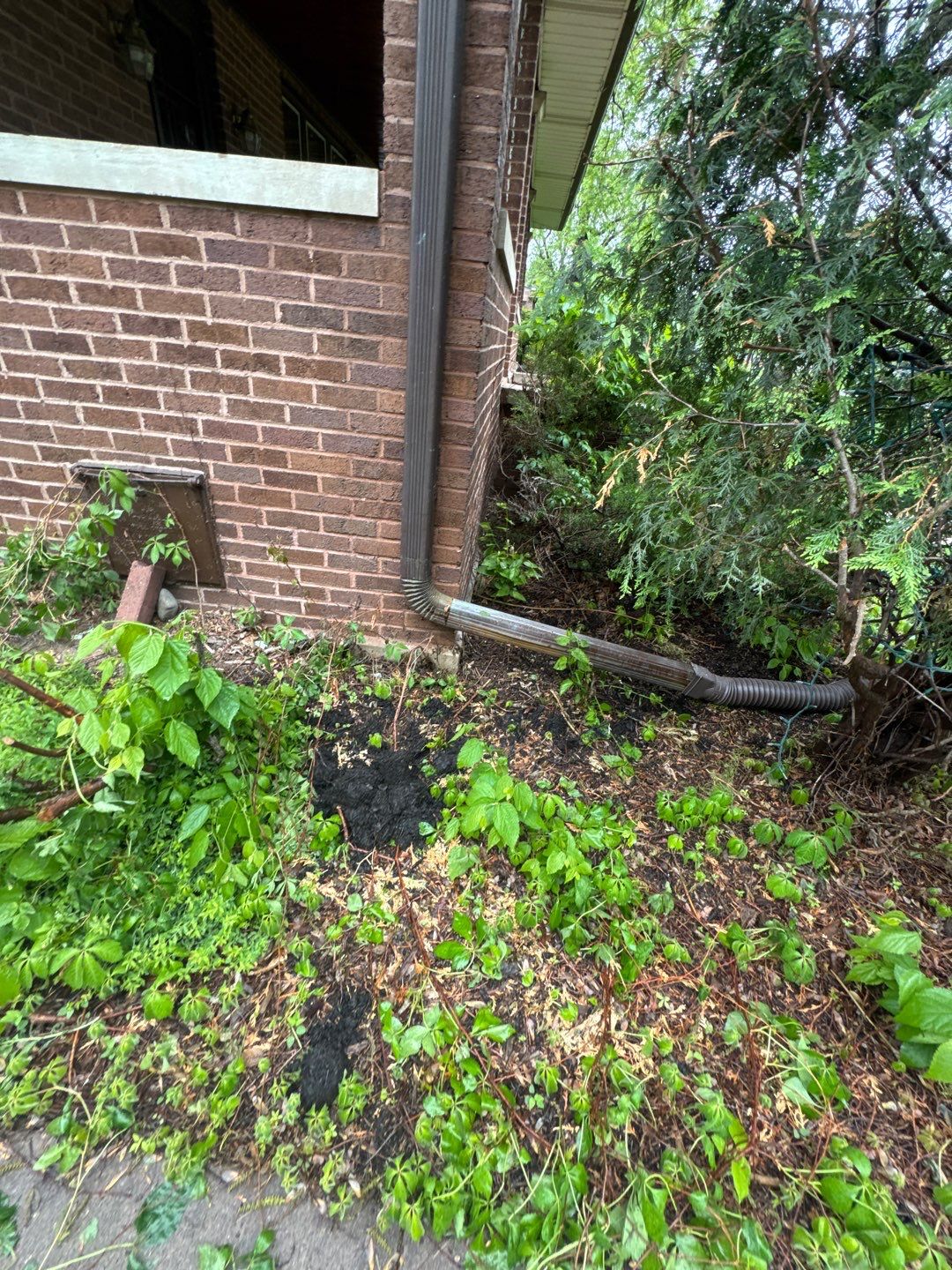 Basement Window Well Replacement in St. Paul, MN by Waterproofing Northeast