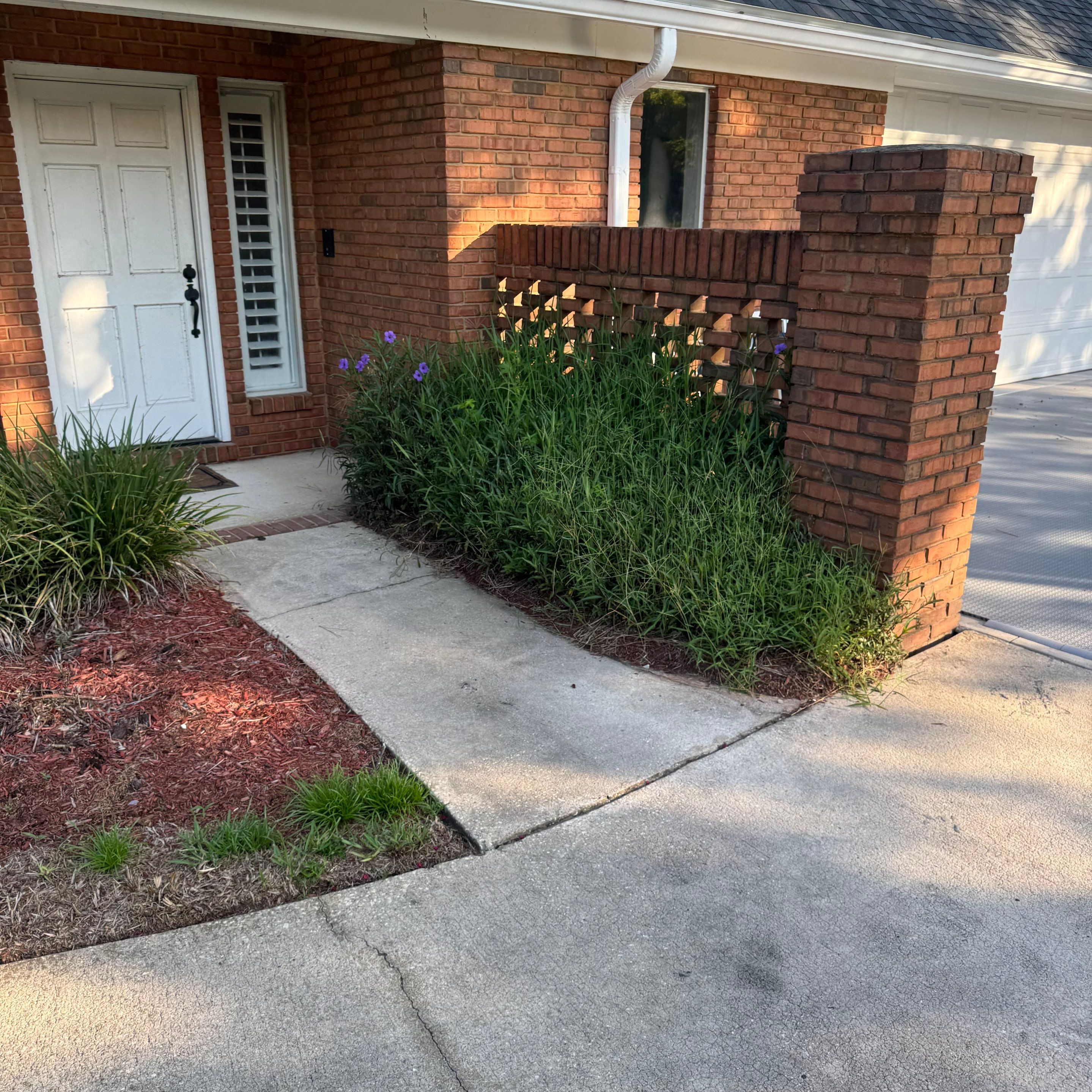 Deerwood Resident | Clean-Up by ProGreen Services