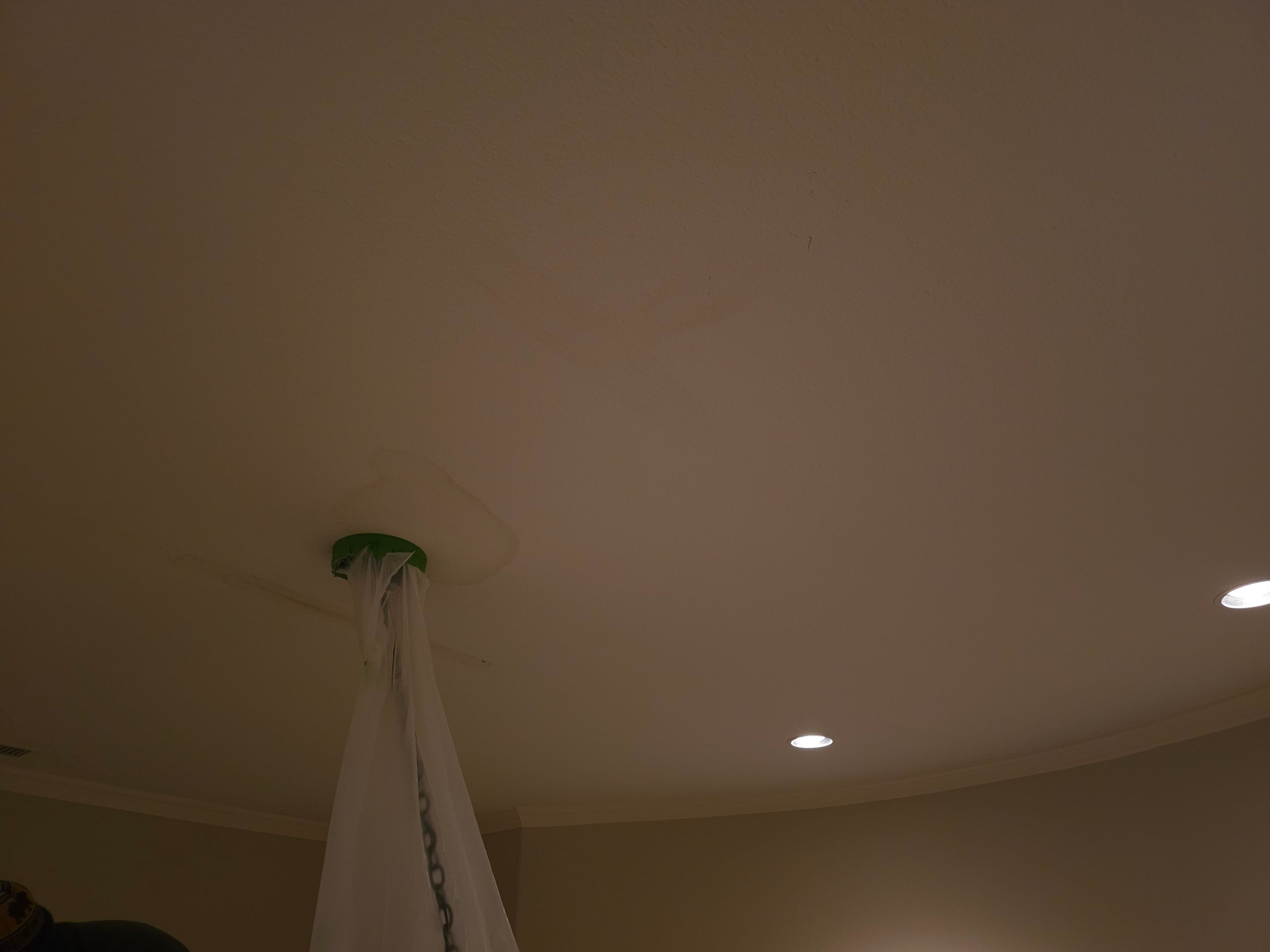 Exterior & interior paint, Garage door repairs, roof replacement & leak repairs by EL-GC LLC 