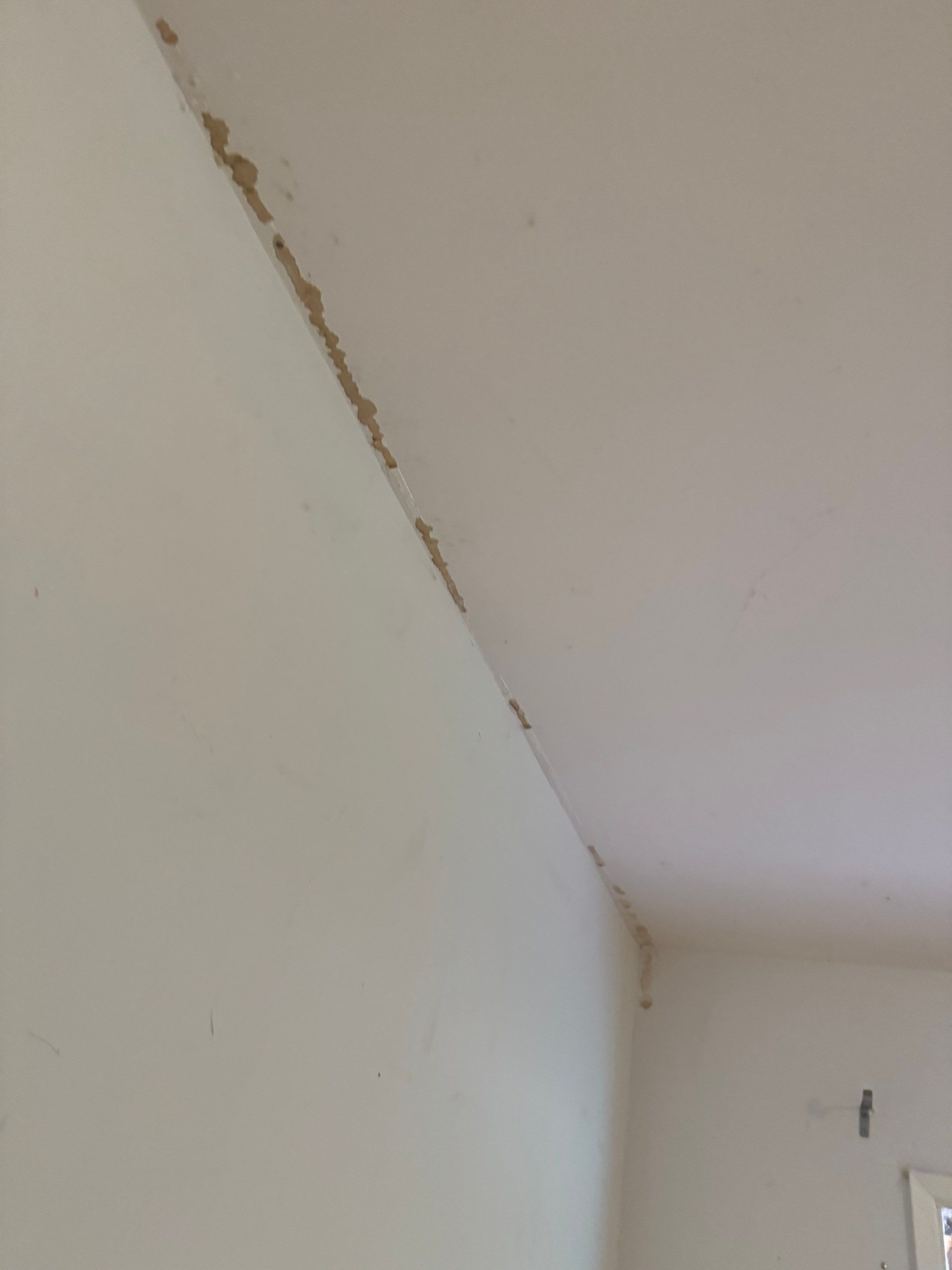 House Renovation - 25th st- West Vancouver by YVR Construction Group